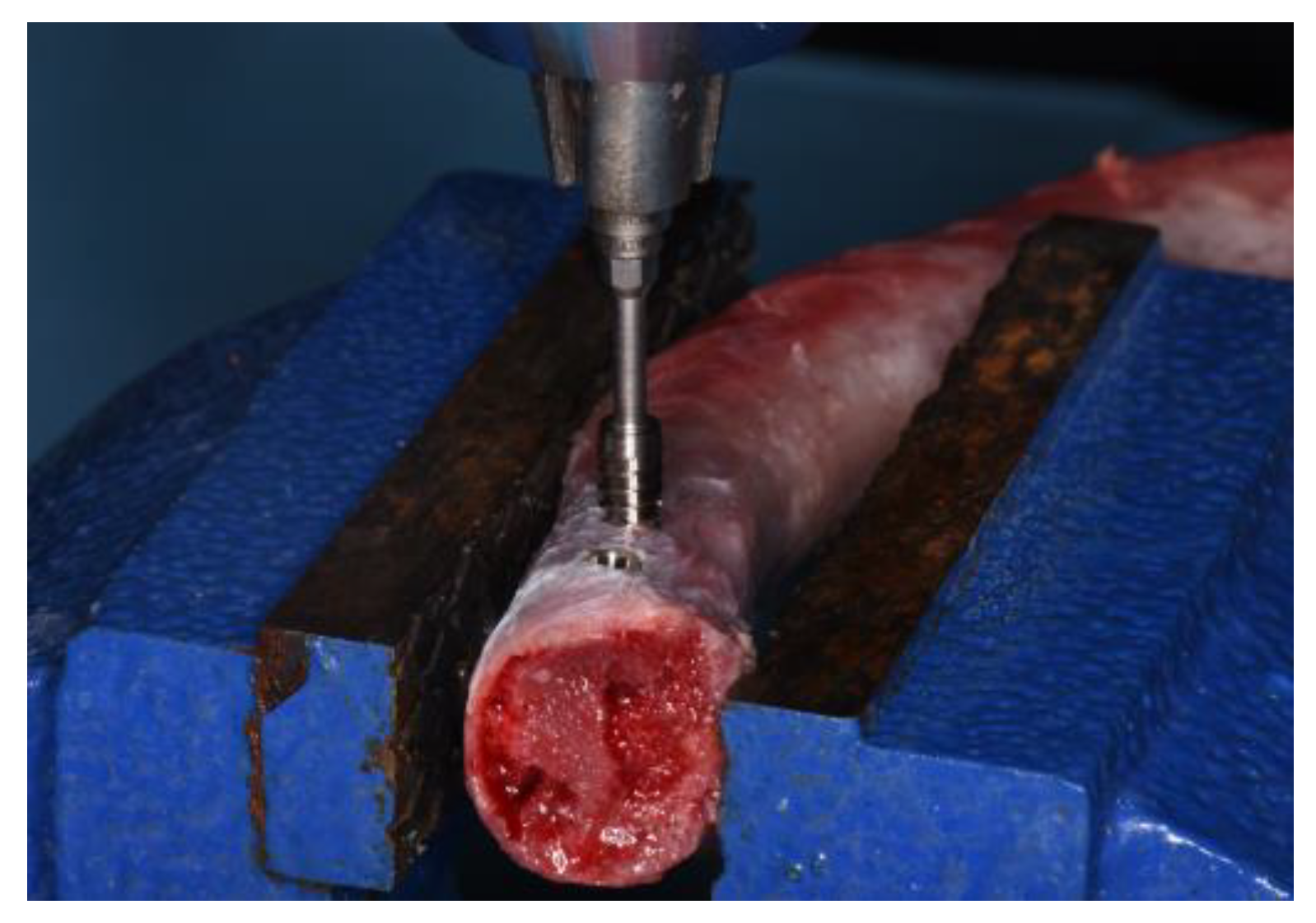 Dentistry 11 00227 g003