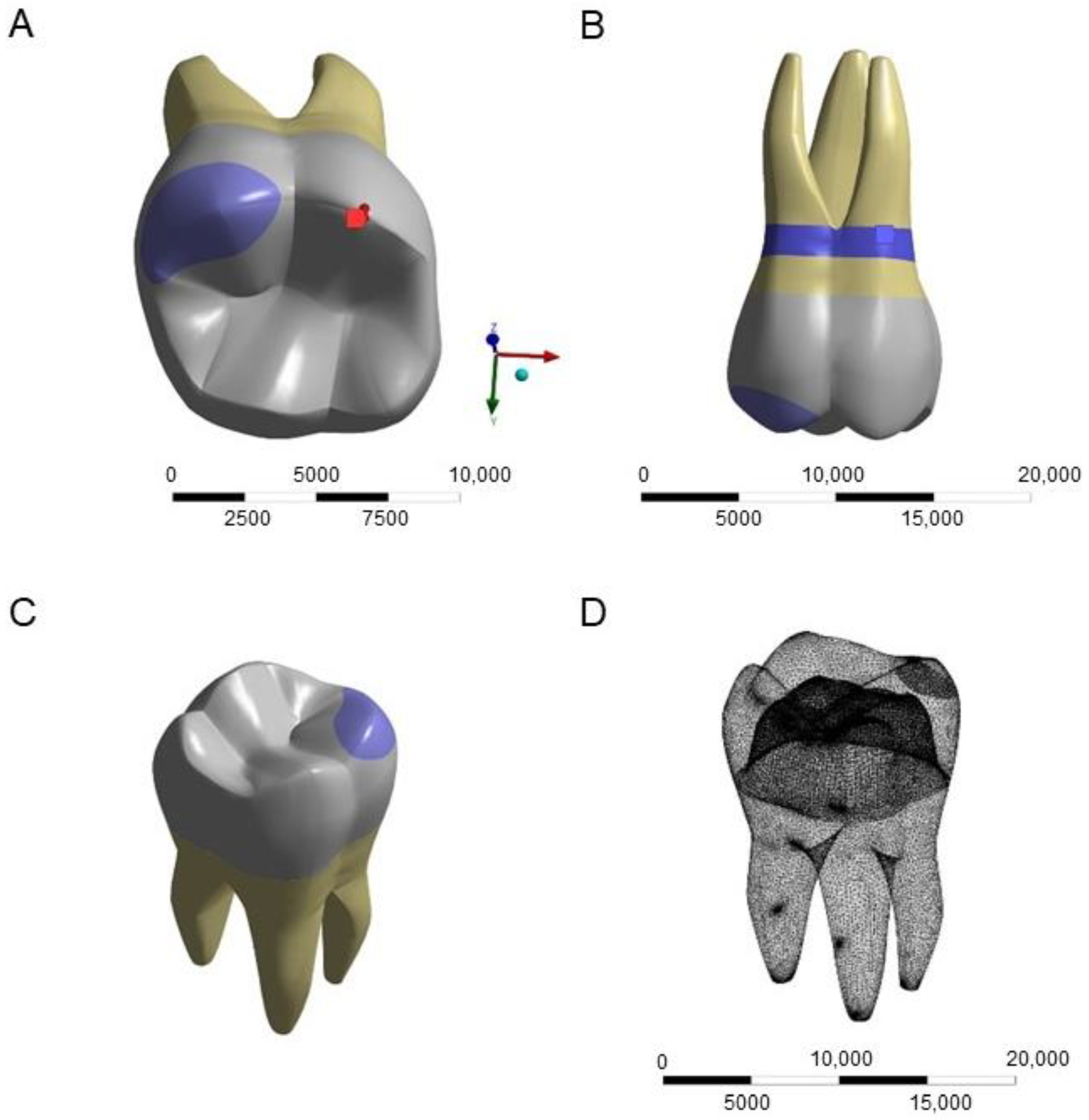 Dentistry 11 00254 g001