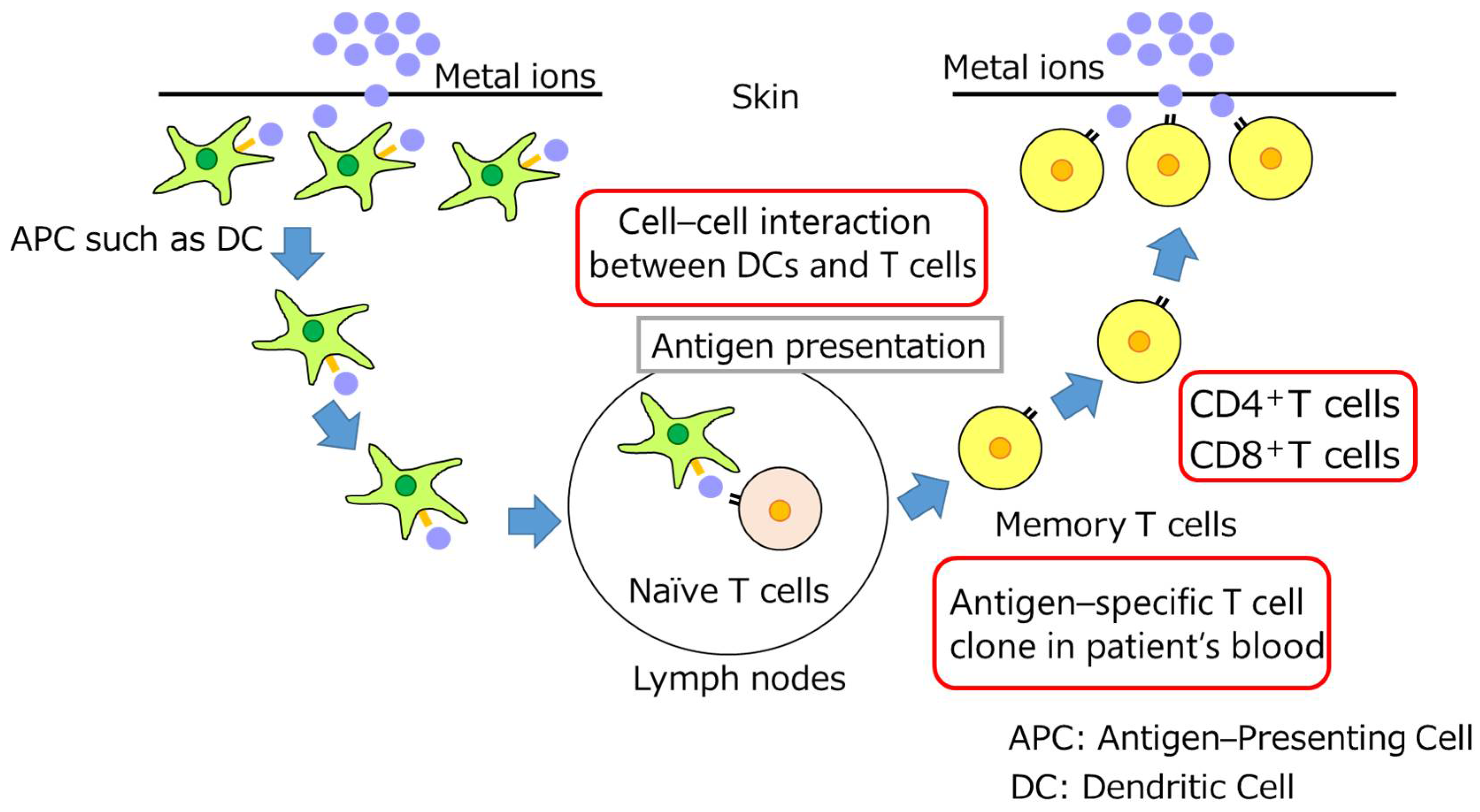 Dentistry 11 00263 g002