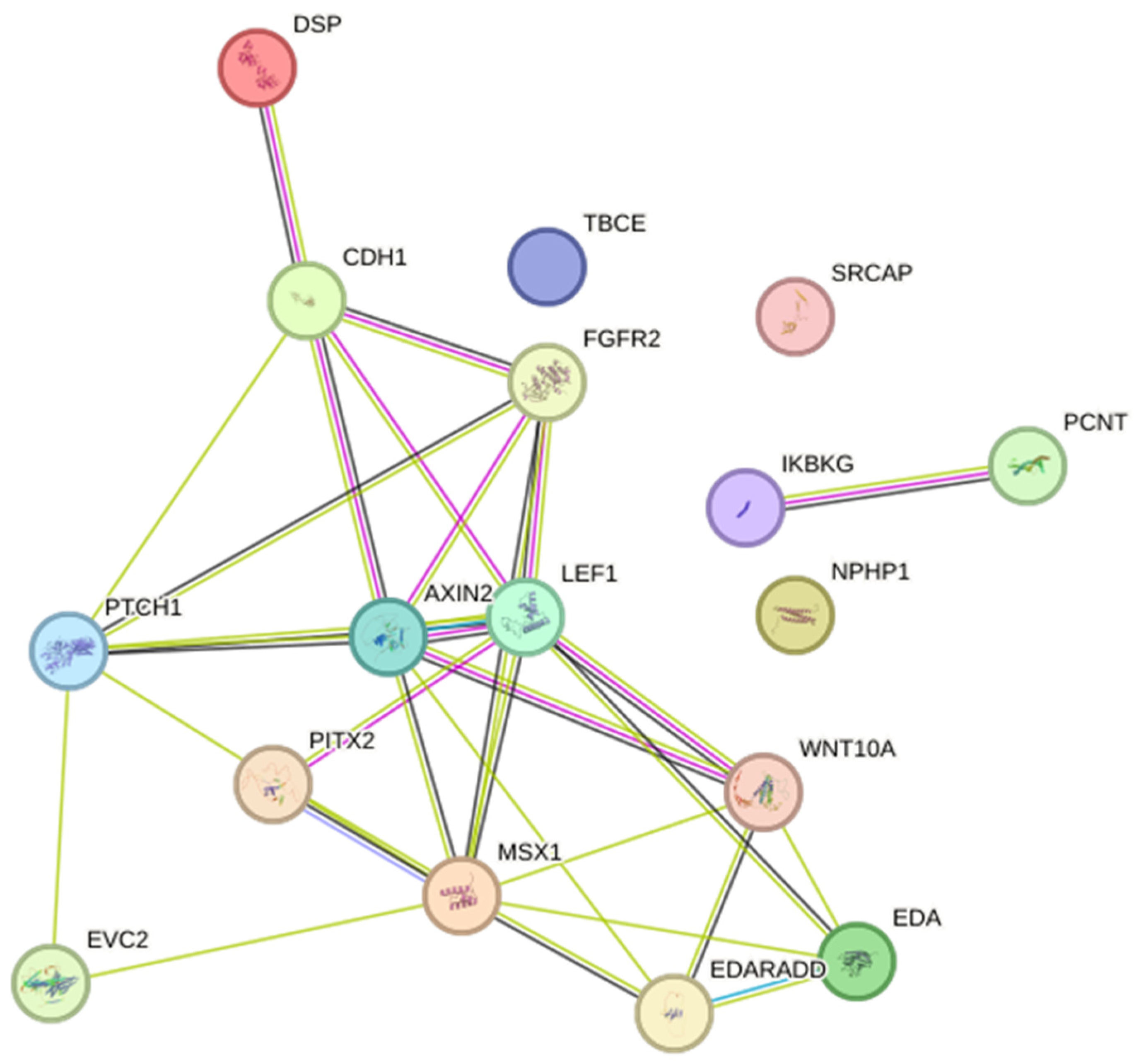 Dentistry 11 00279 g002