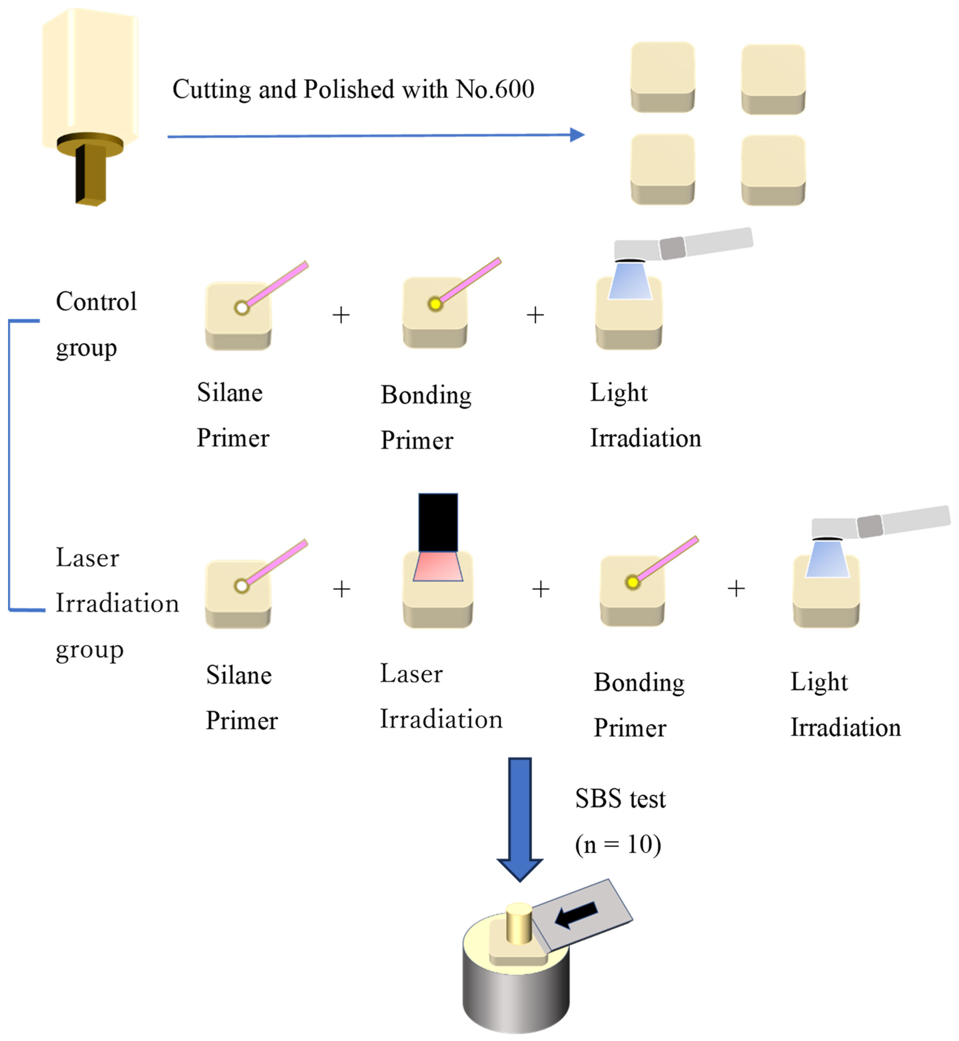 Dentistry 11 00290 g001