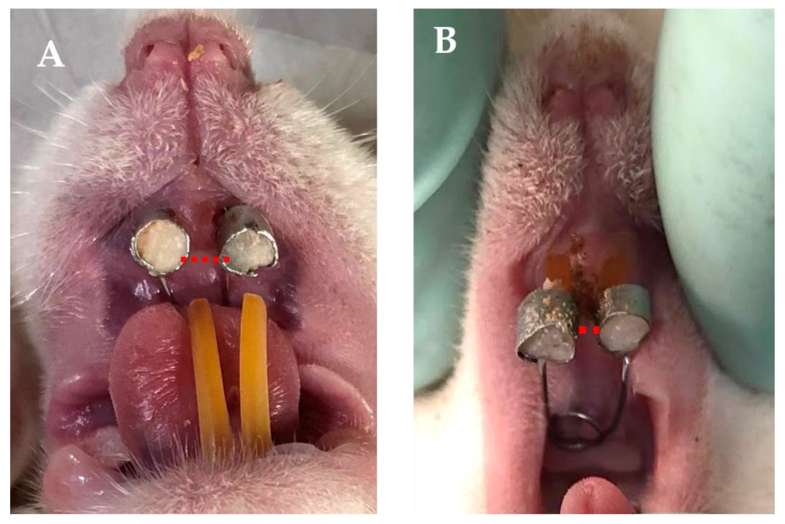 Dentistry 12 00018 g004