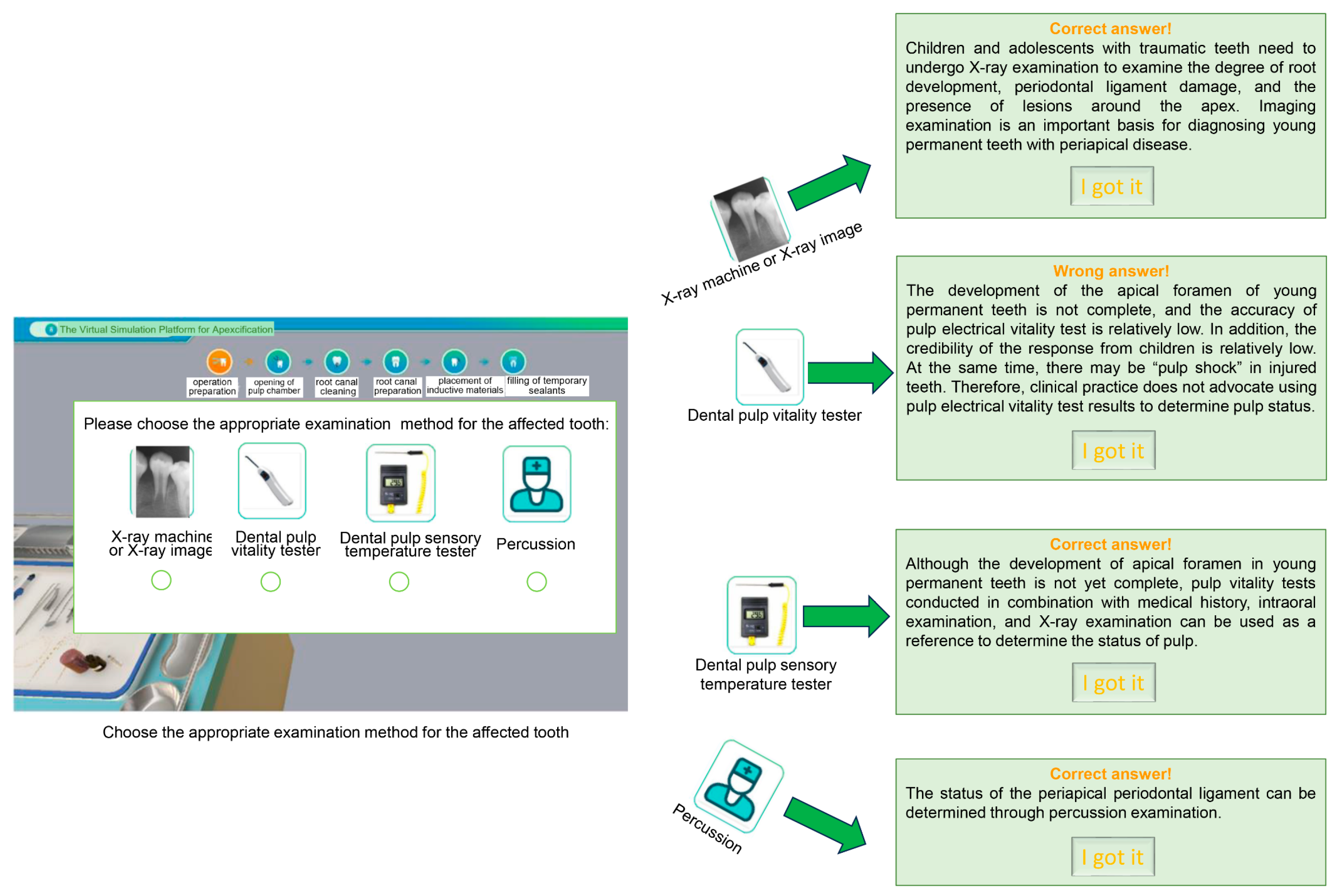 Dentistry 12 00027 g002