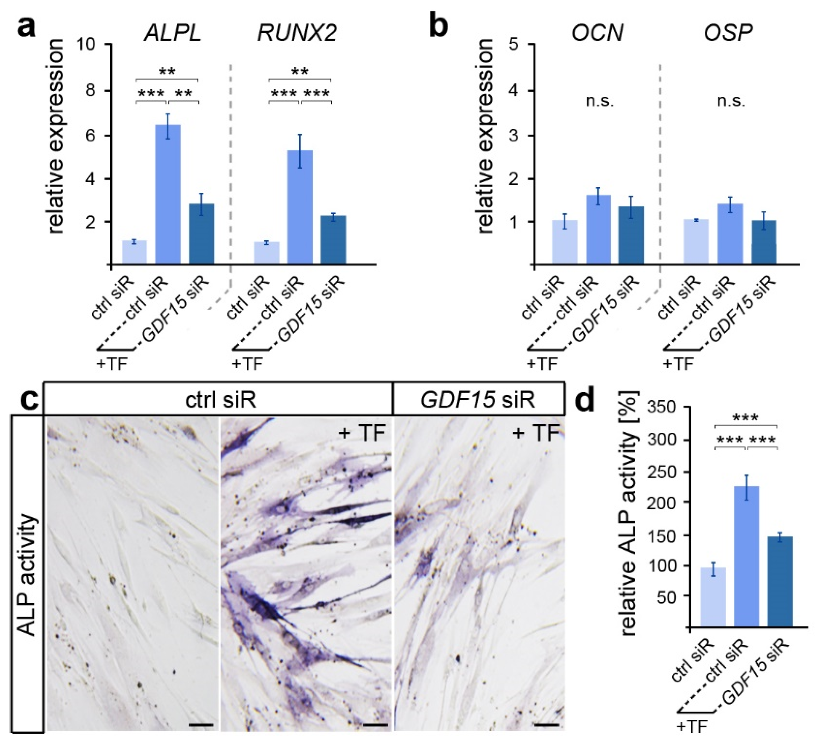 Dentistry 12 00039 g002