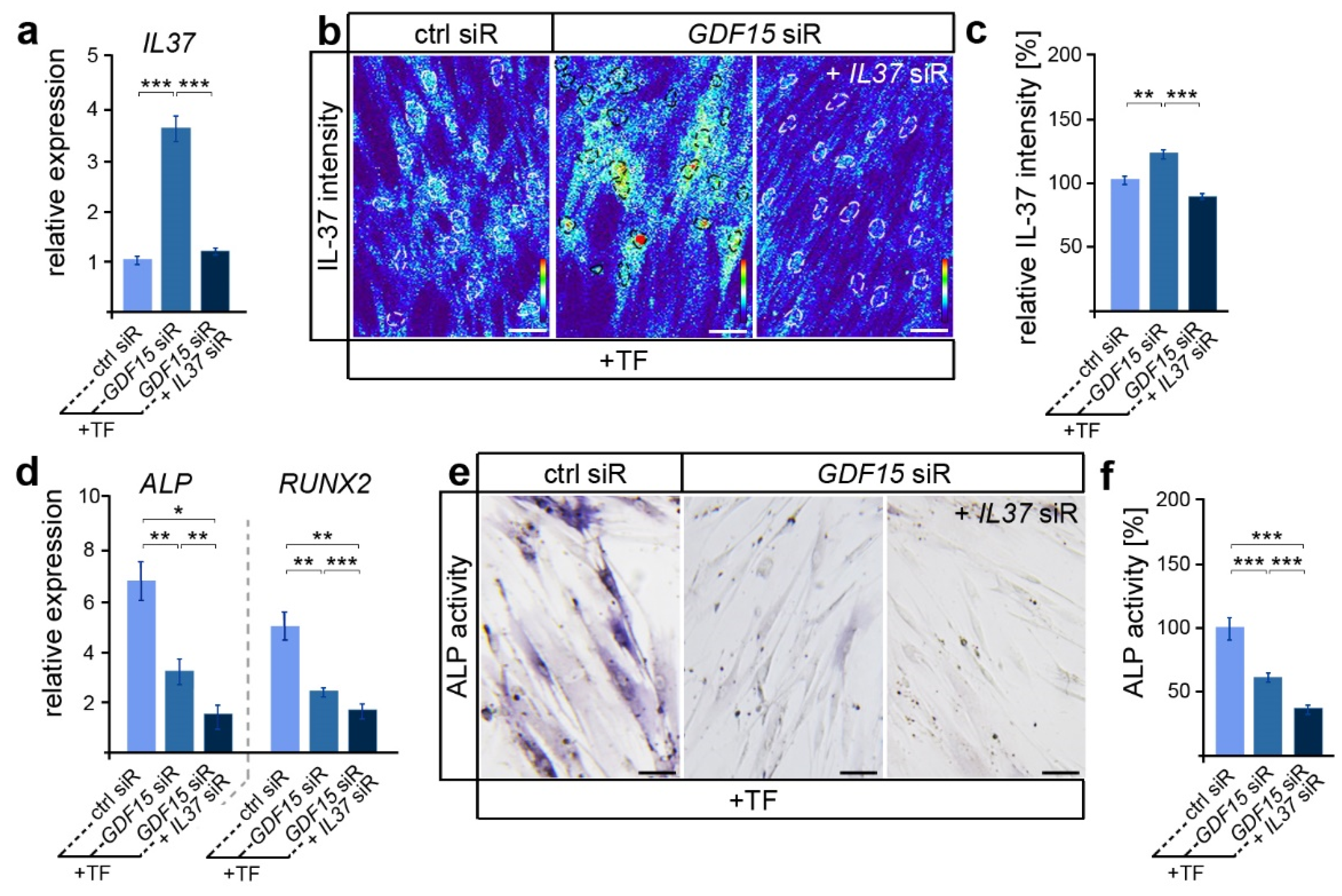 Dentistry 12 00039 g003