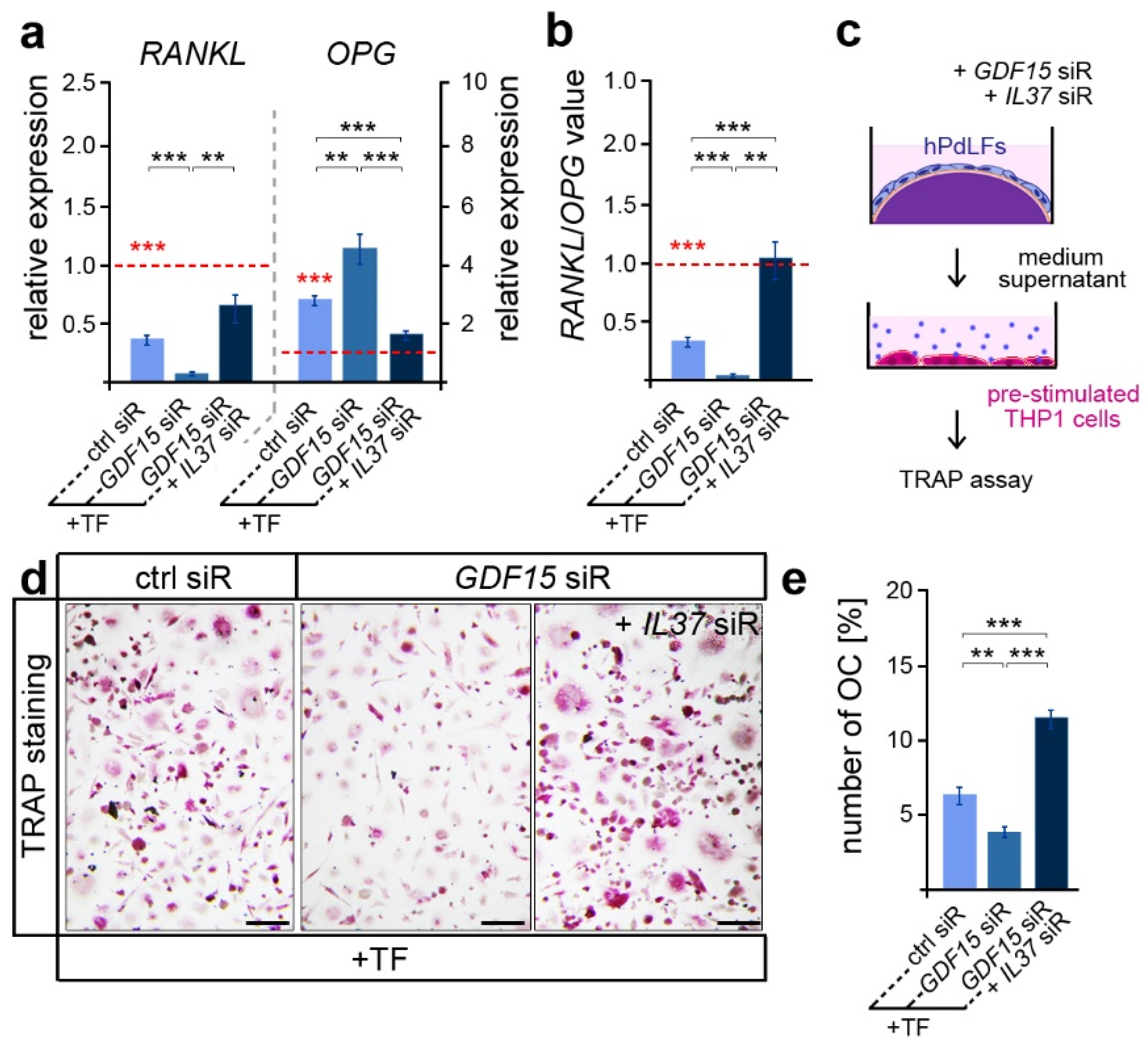 Dentistry 12 00039 g004