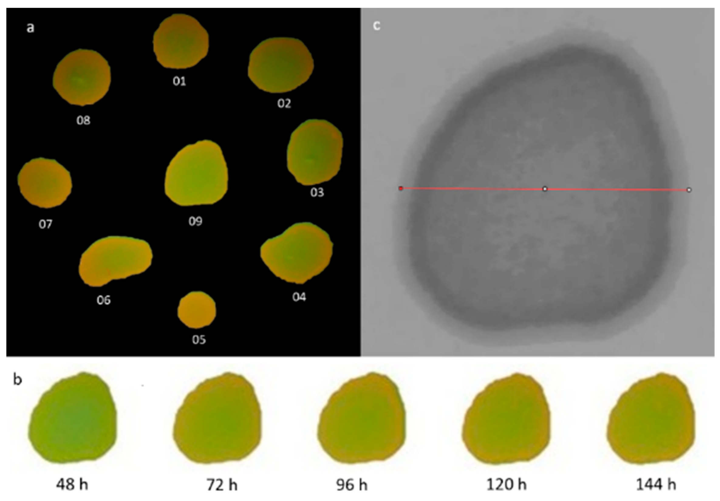 Dentistry 12 00048 g001