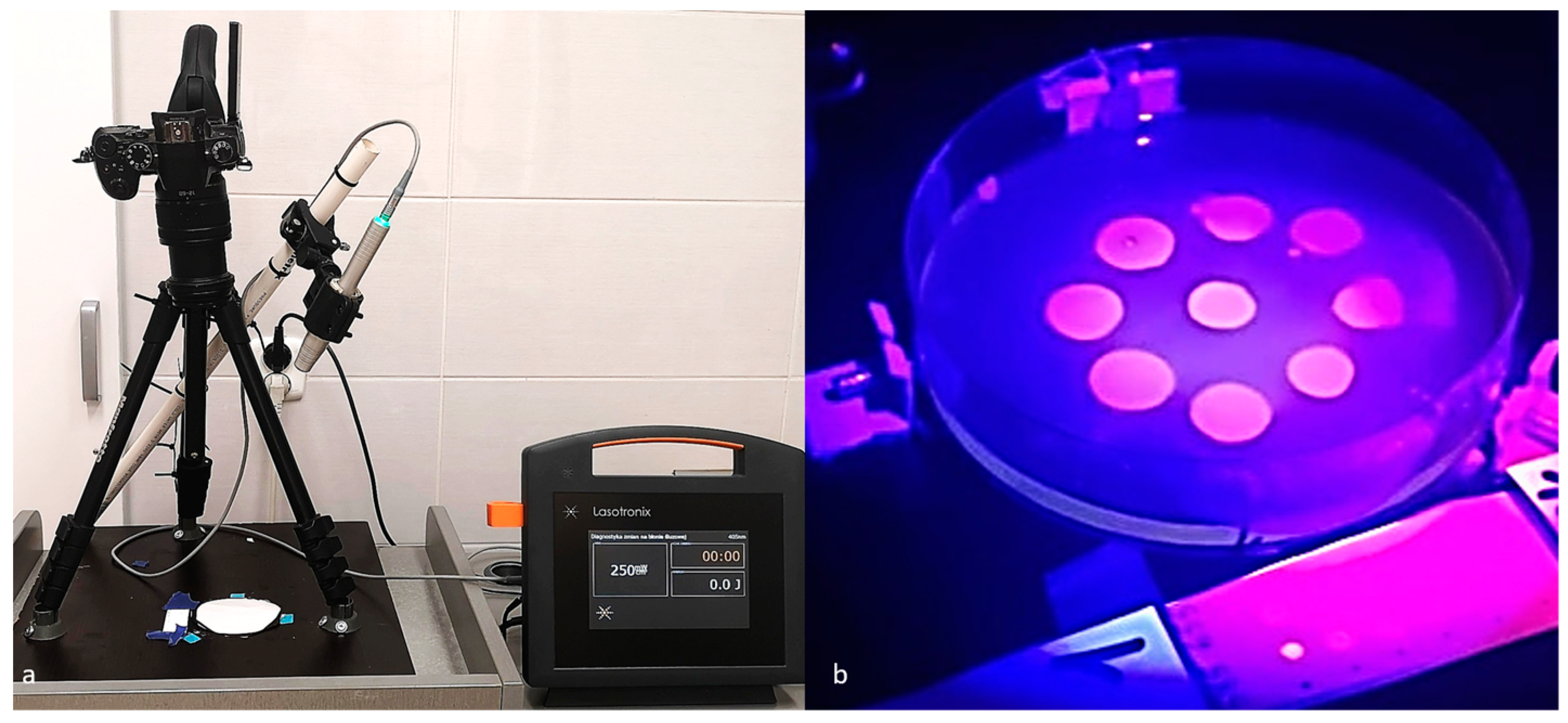 Dentistry 12 00048 g002