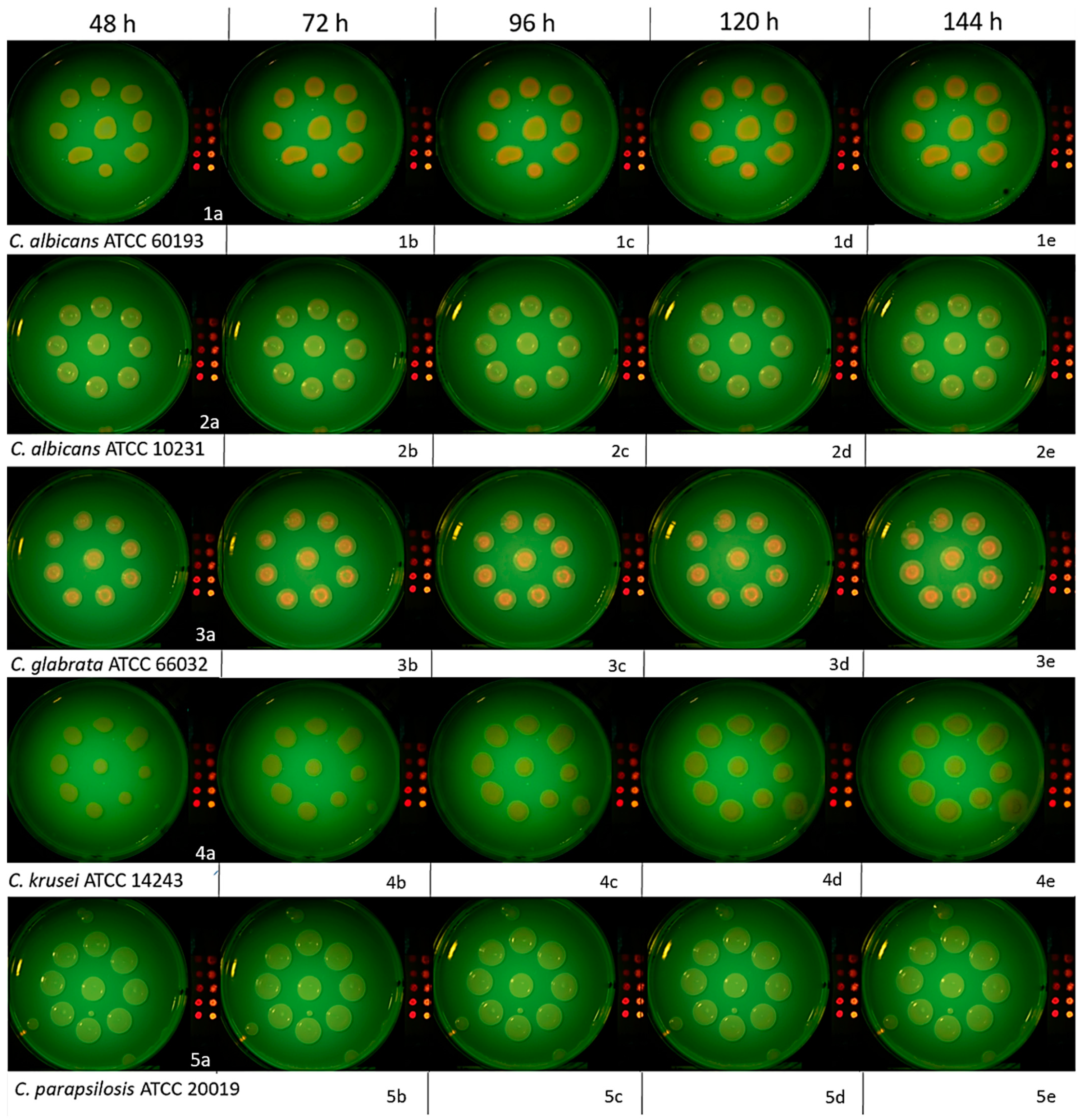 Dentistry 12 00048 g005