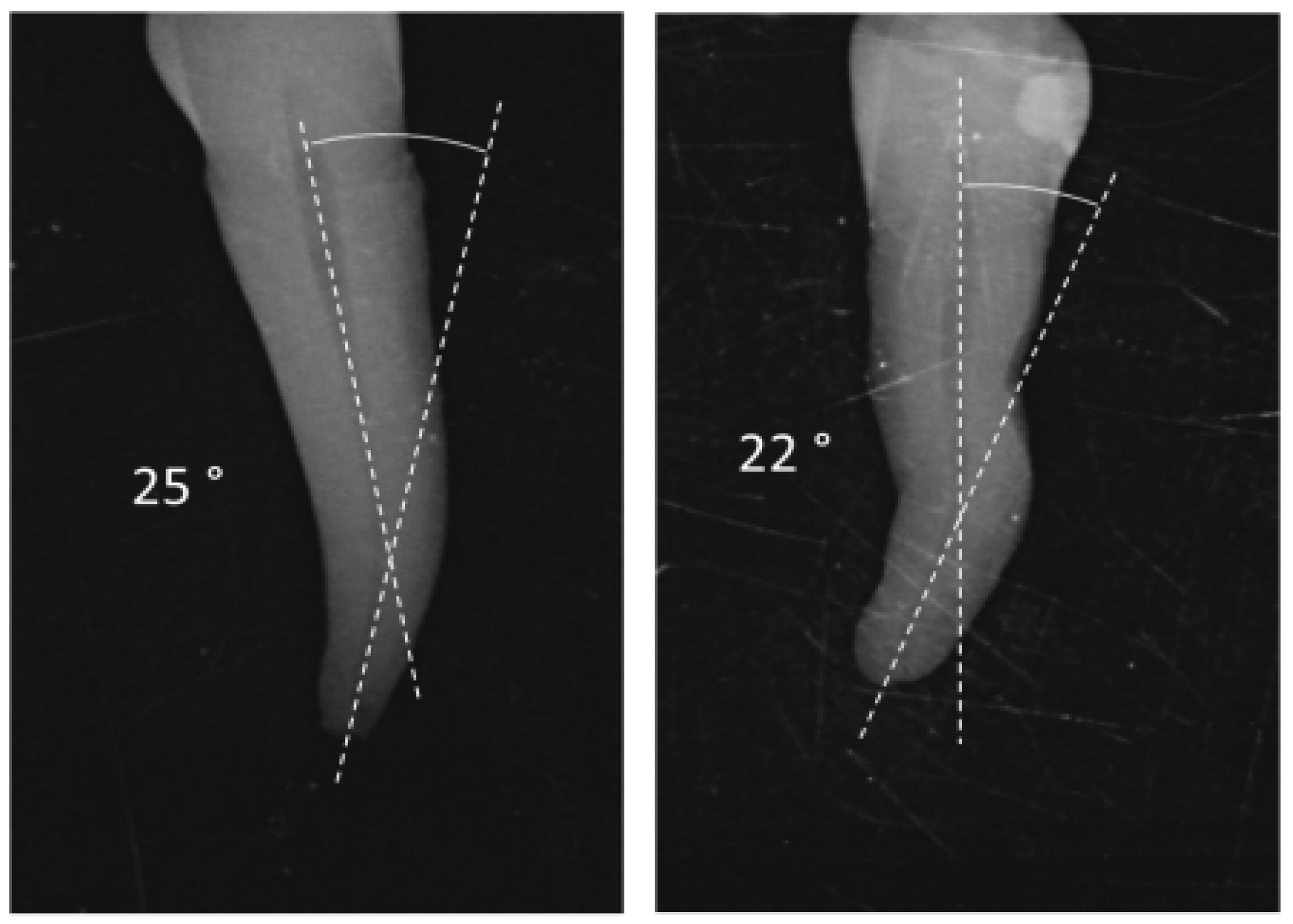 Dentistry 12 00051 g001