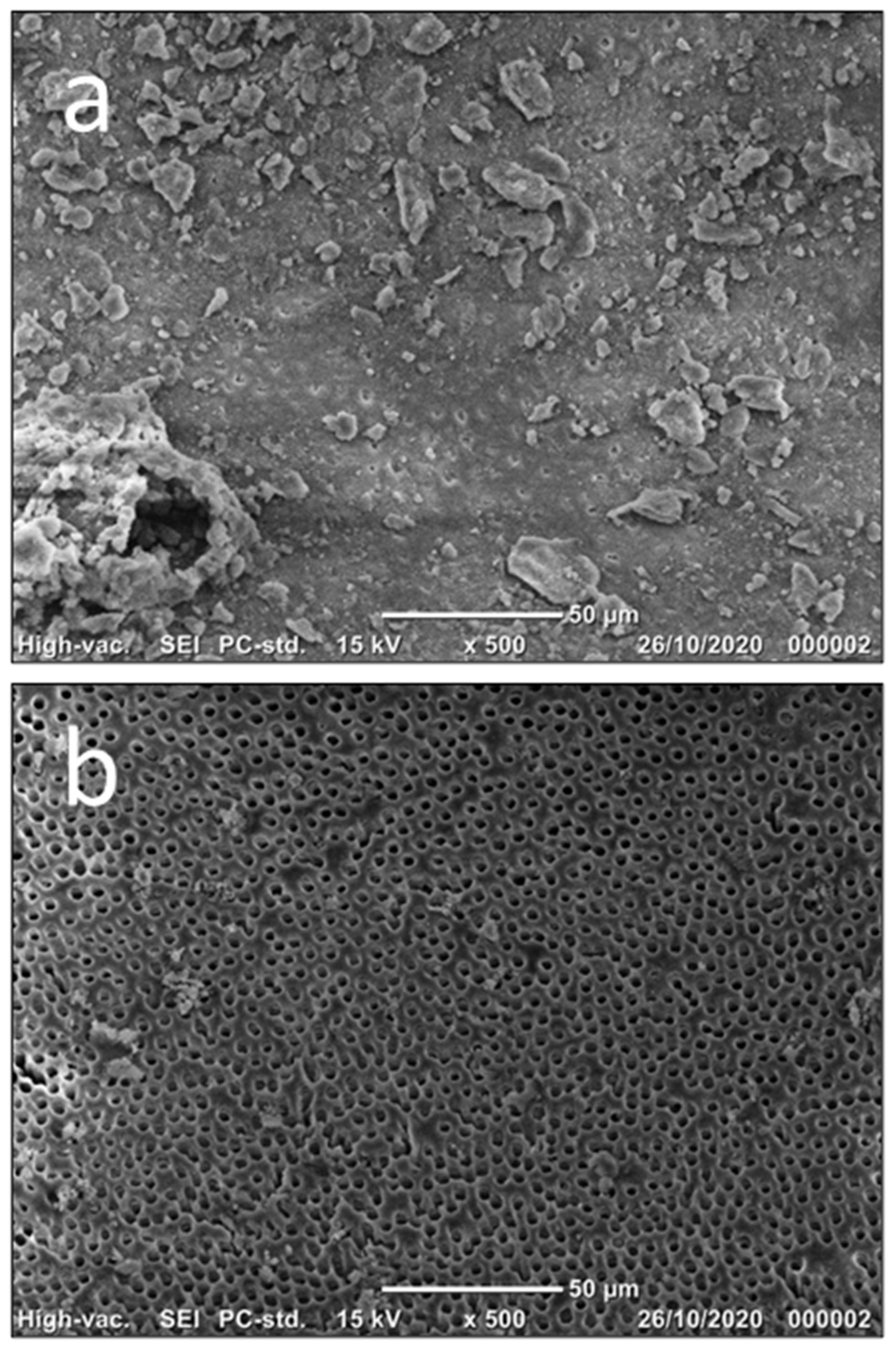 Dentistry 12 00051 g002