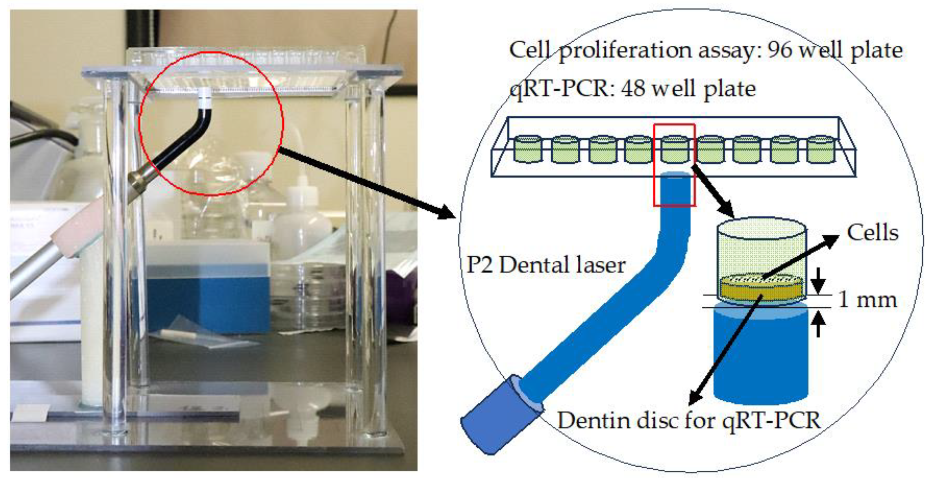 Dentistry 12 00067 g002