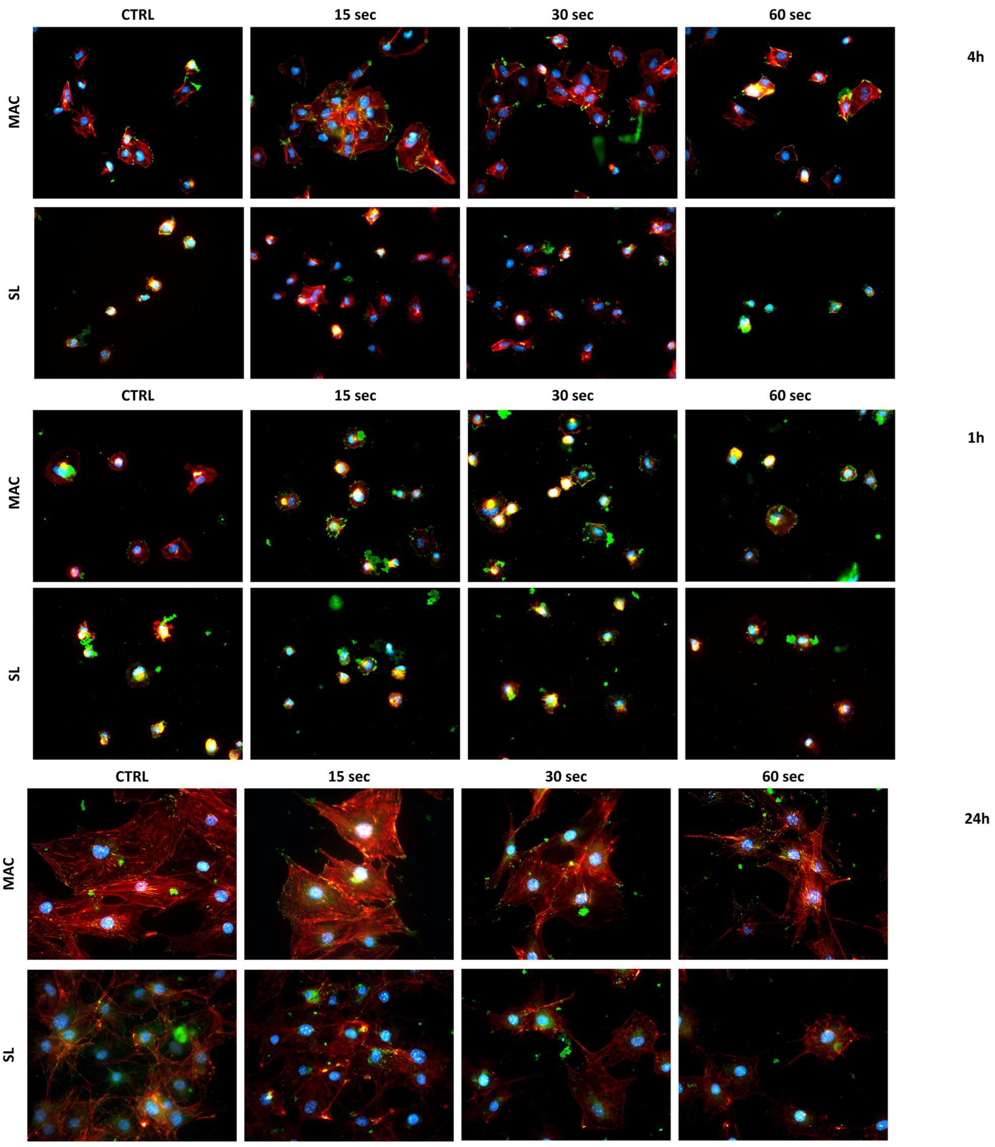 Dentistry 12 00071 g006