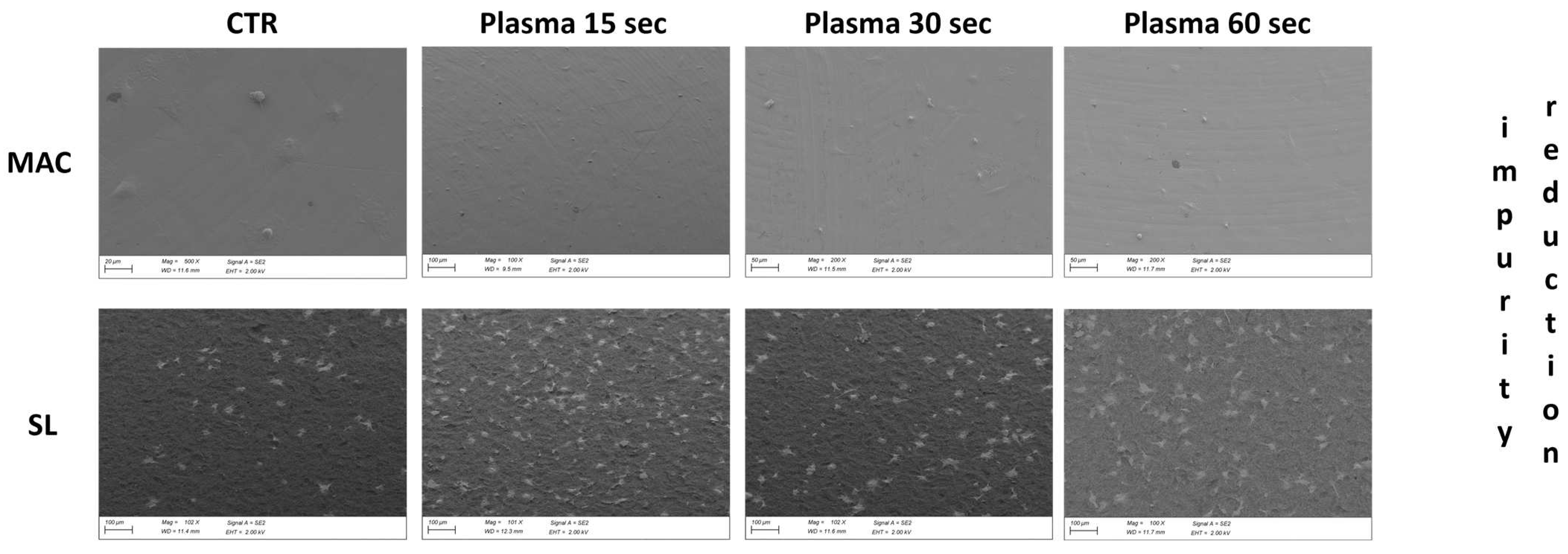 Dentistry 12 00071 g007