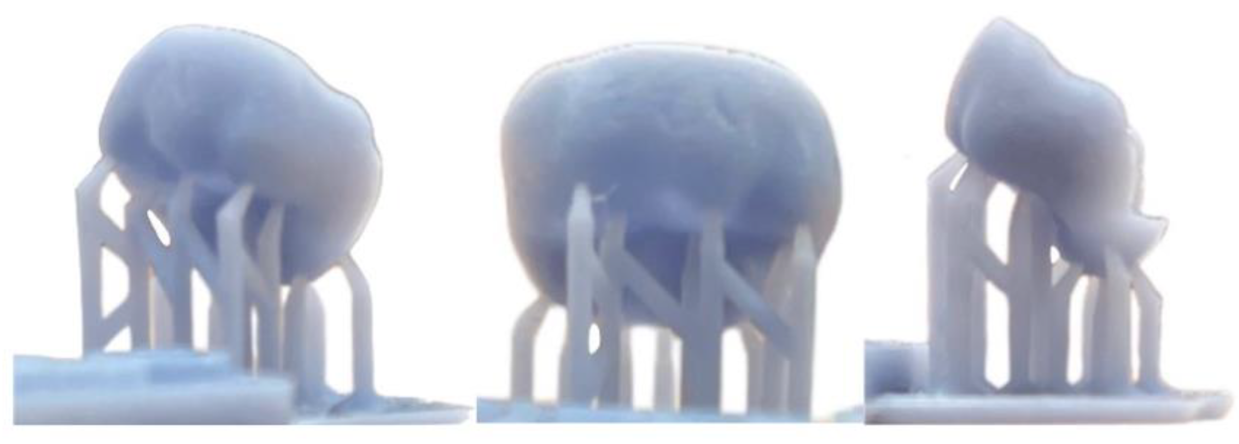 Dentistry 12 00075 g001