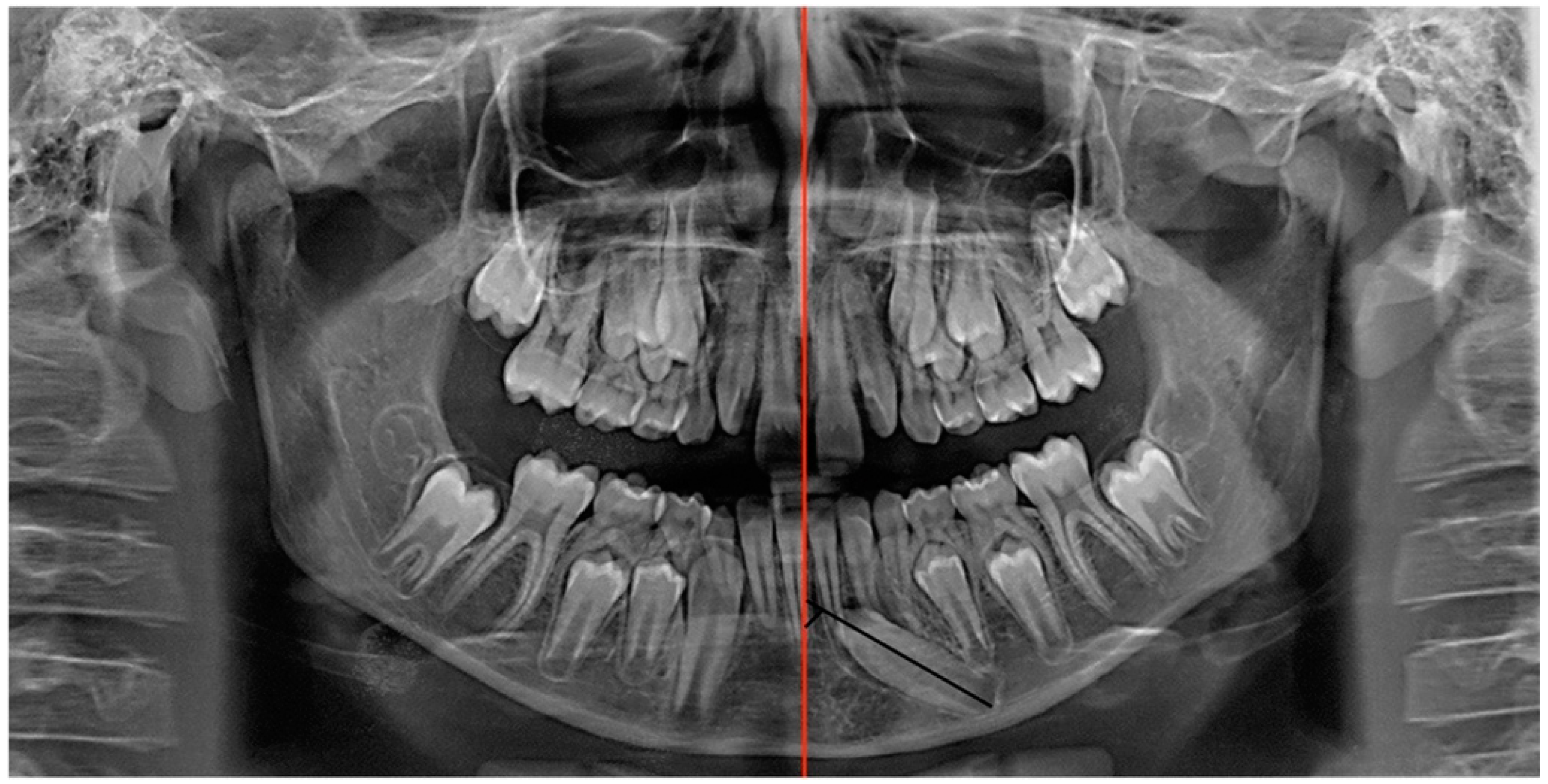 Dentistry 12 00079 g003