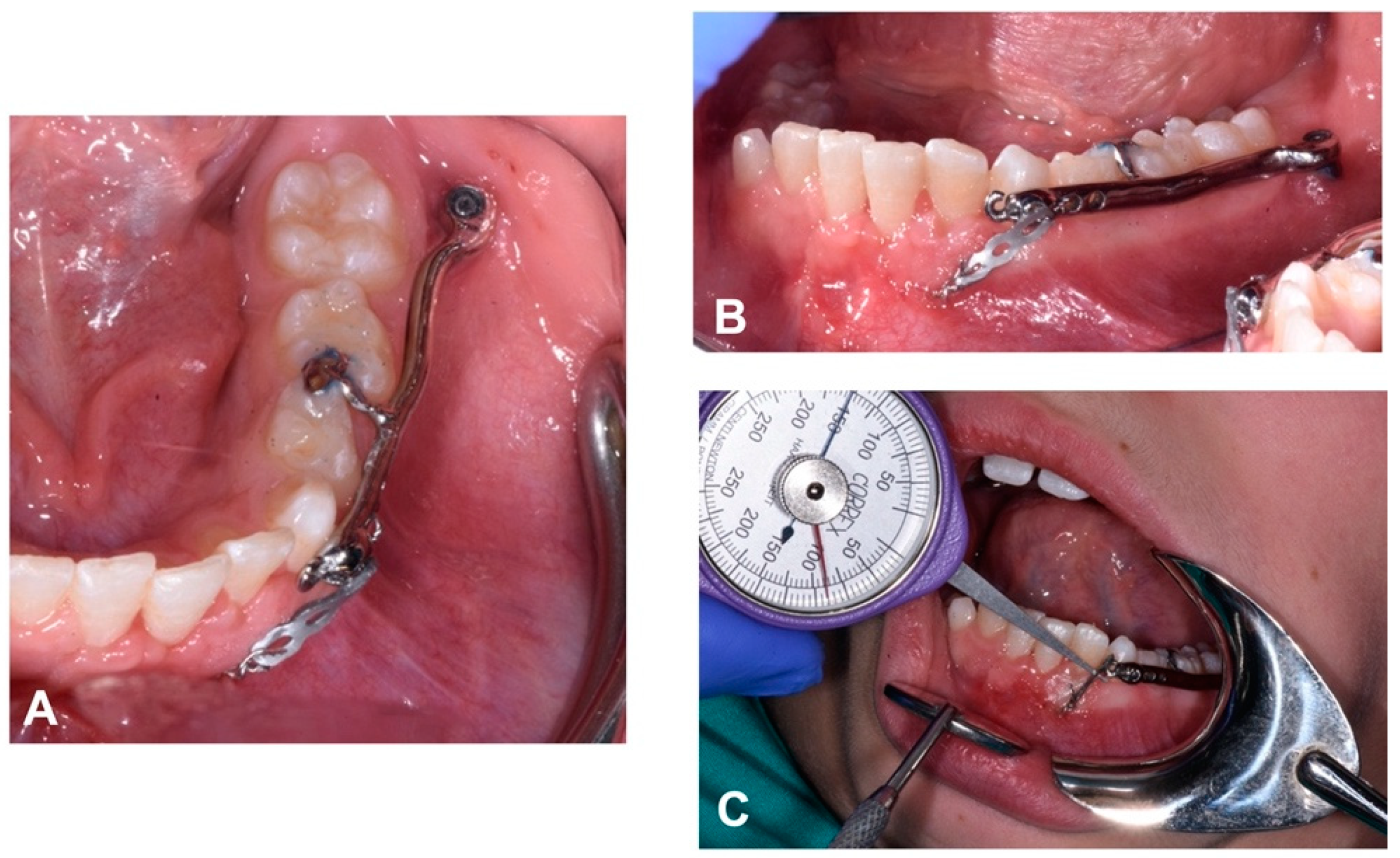 Dentistry 12 00079 g010