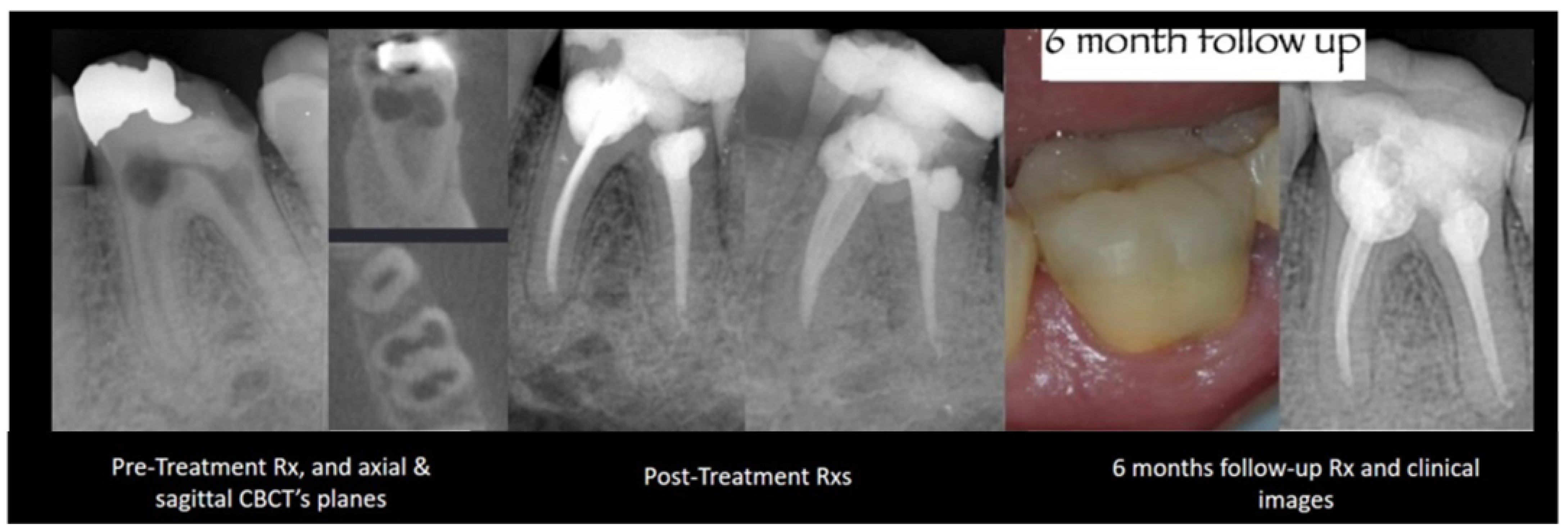 Dentistry 12 00085 g002