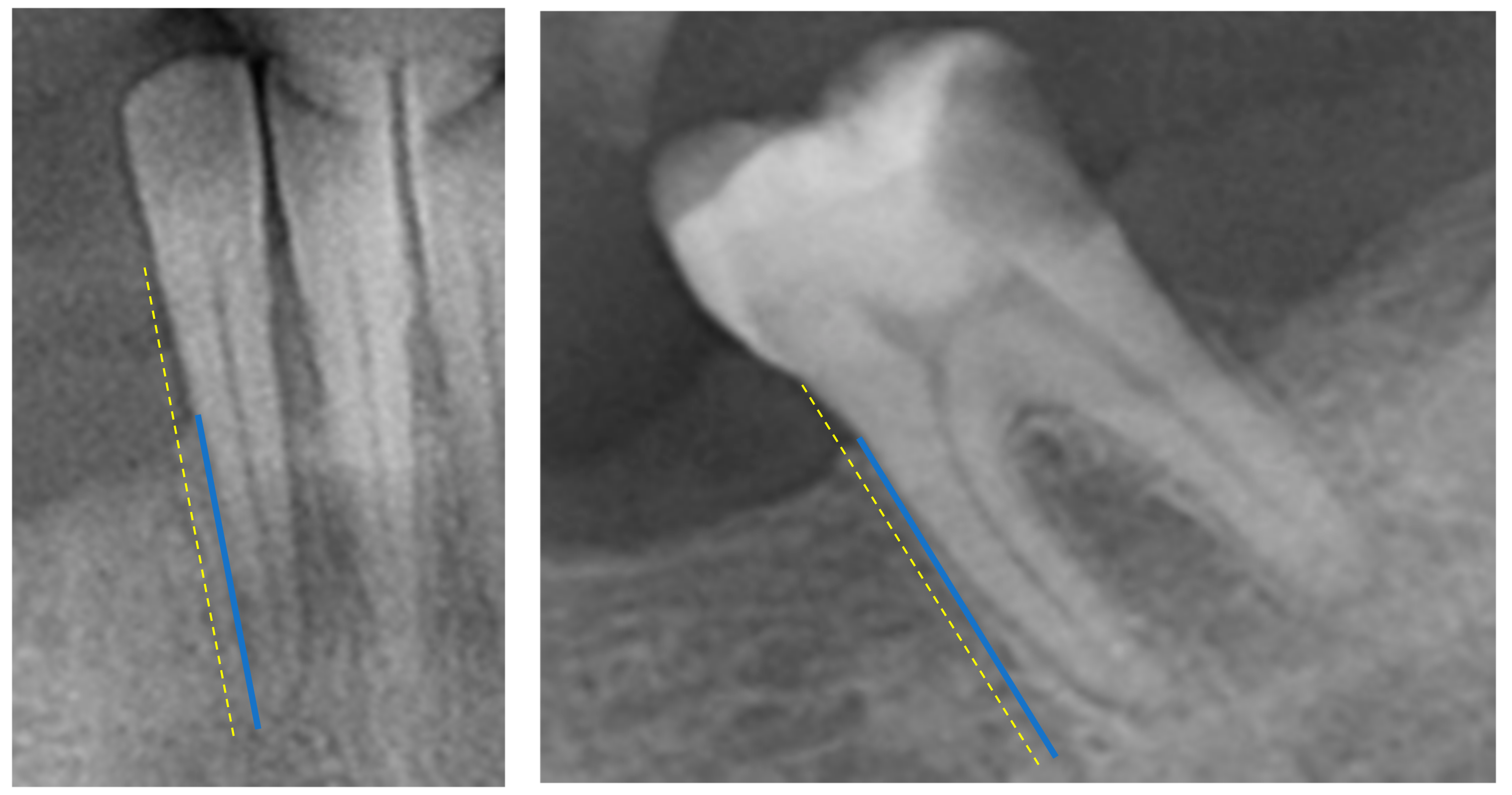 Dentistry 12 00110 g001