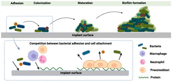 Dentistry 12 00125 g001