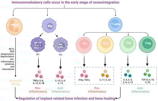 Dentistry 12 00125 g002