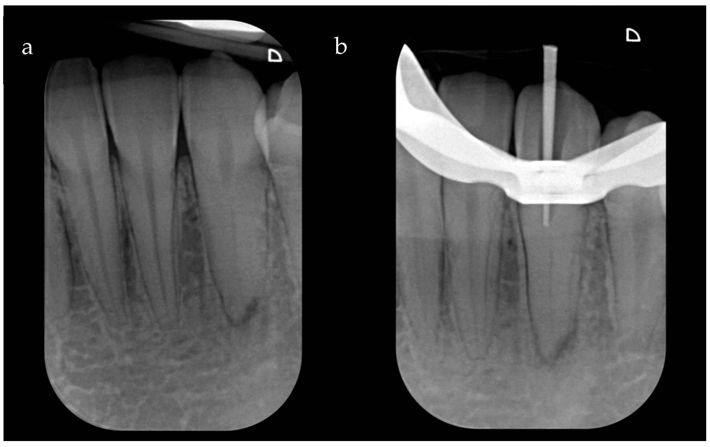 Dentistry 12 00166 g001