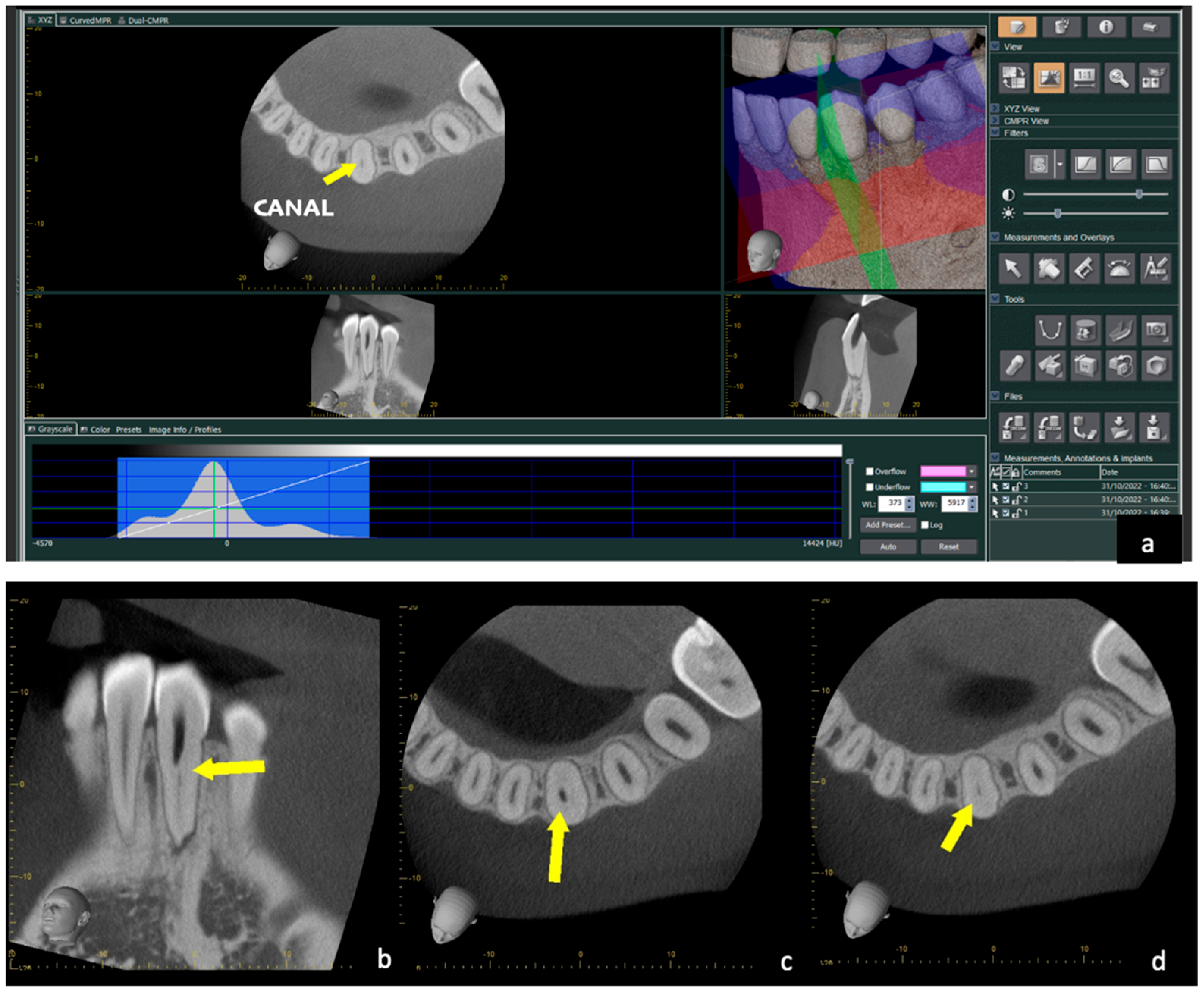 Dentistry 12 00166 g002
