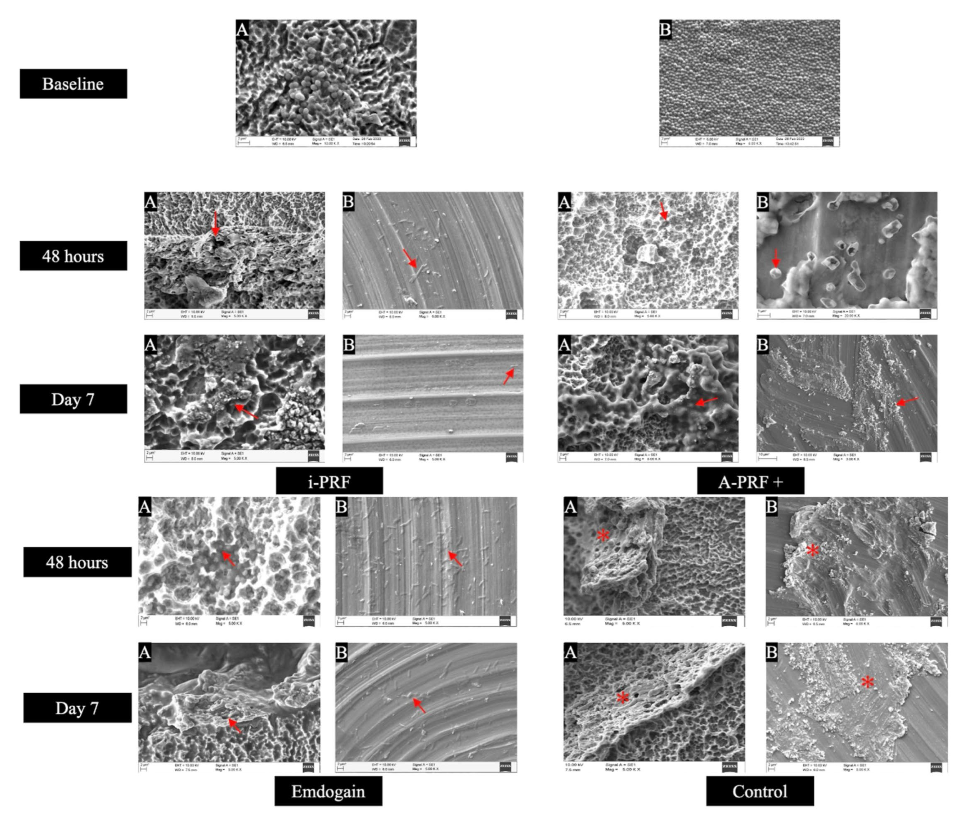 Dentistry 12 00175 g002