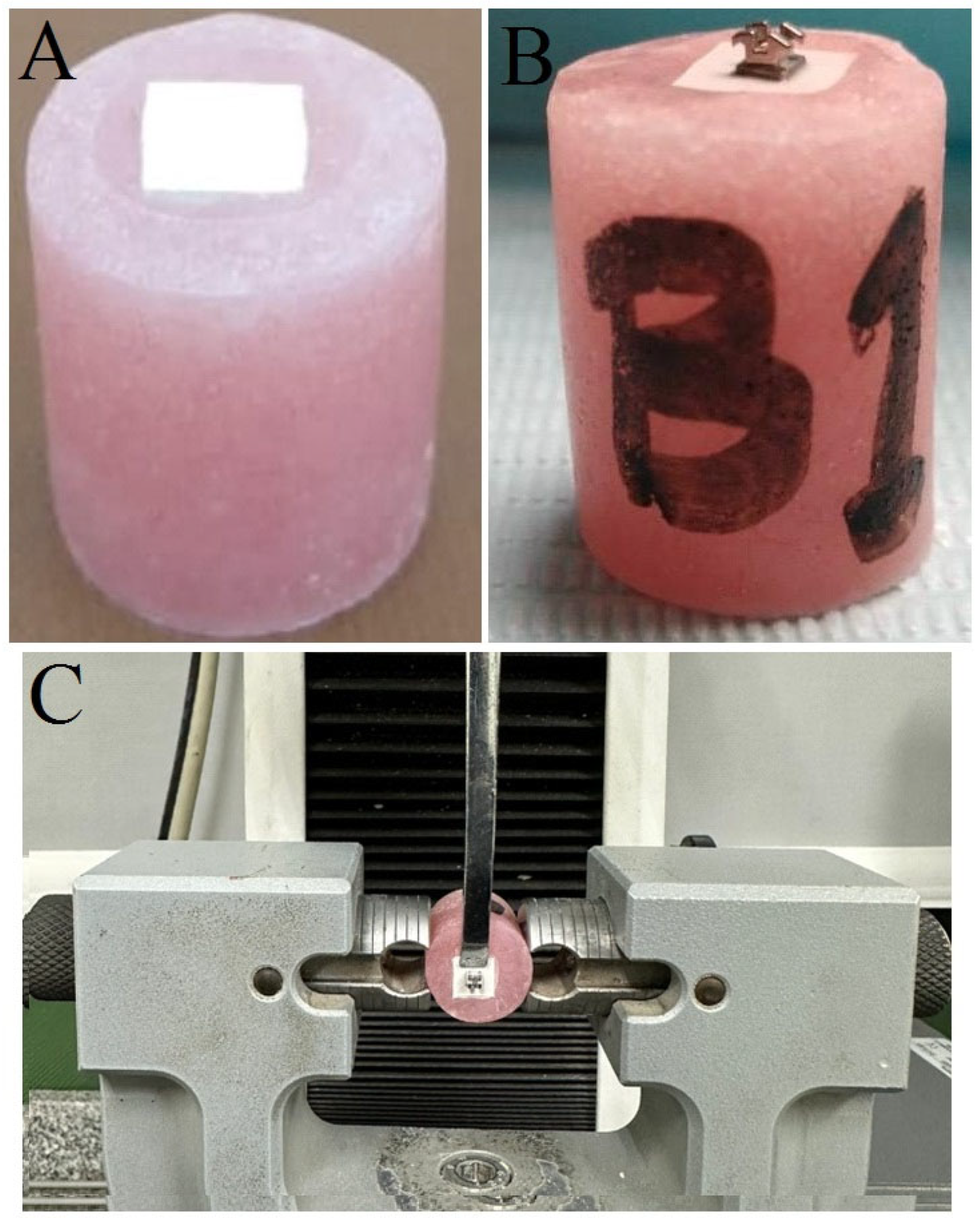 Dentistry 12 00188 g001