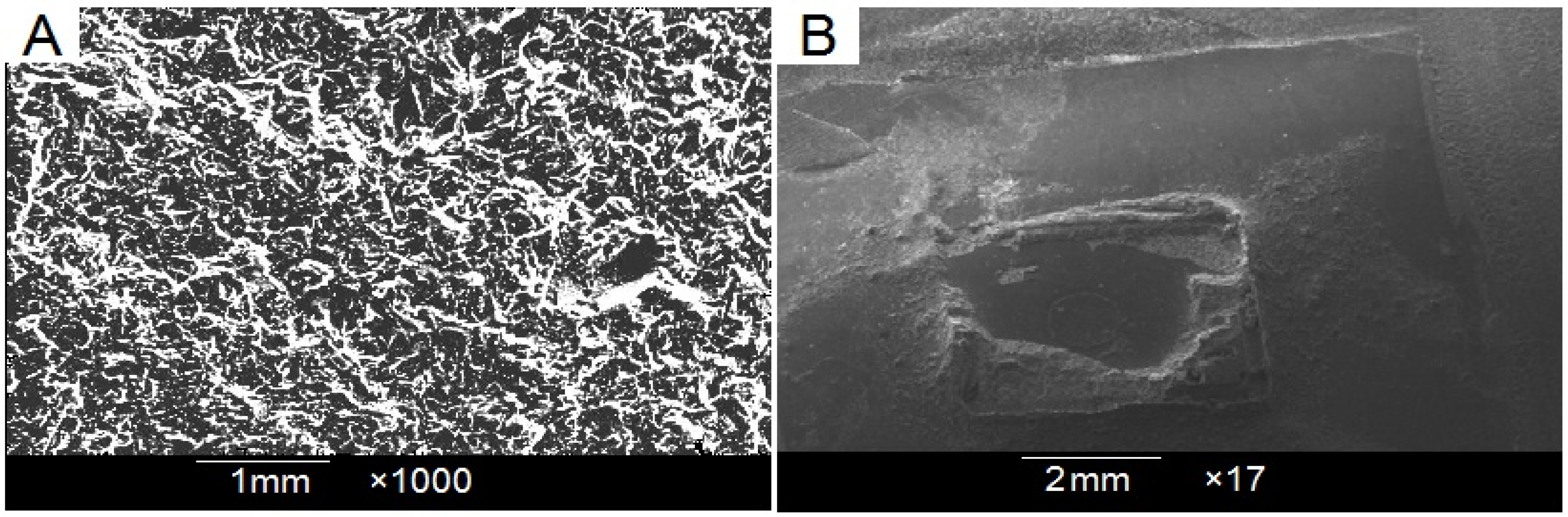 Dentistry 12 00188 g003