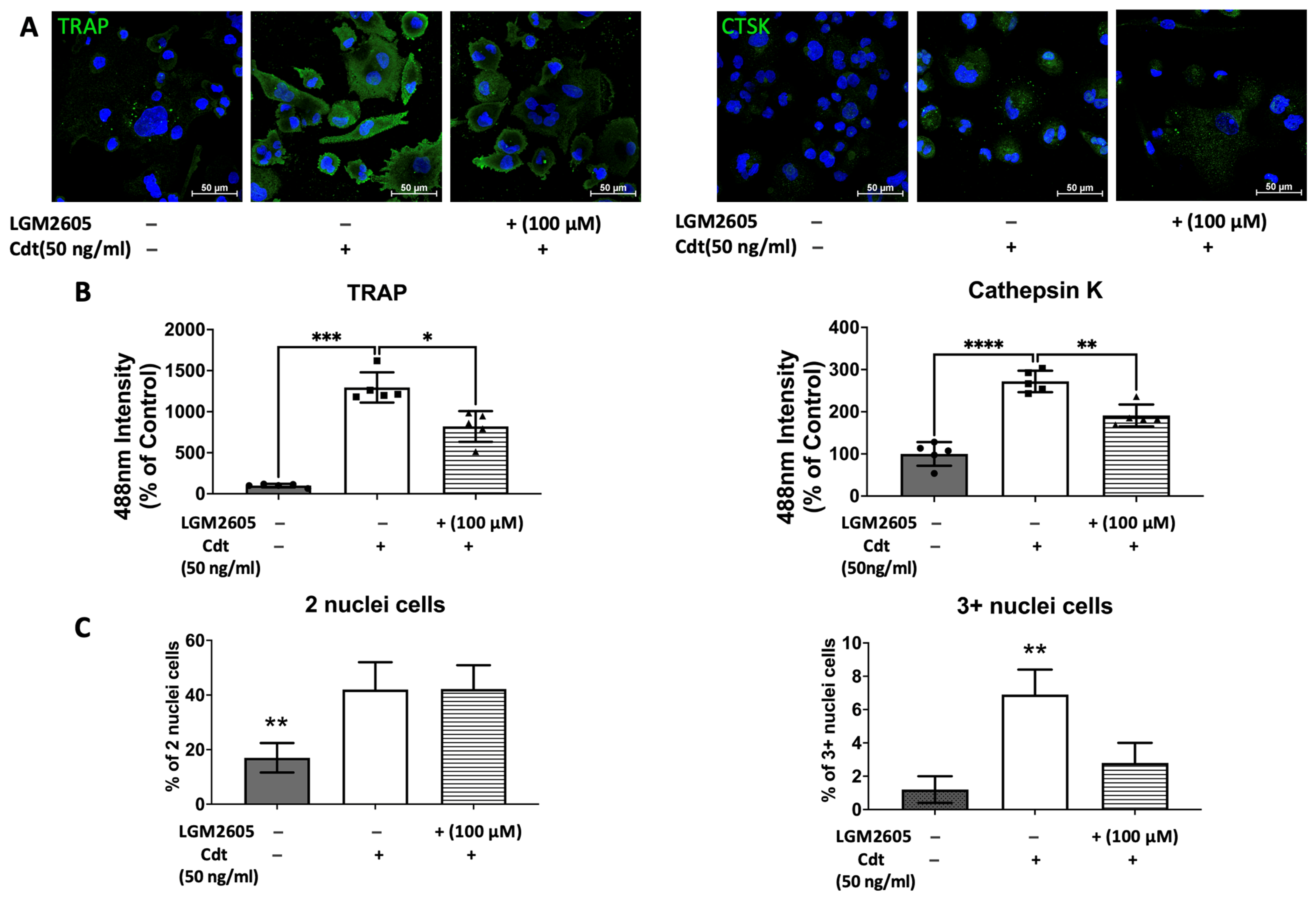 Dentistry 12 00195 g007