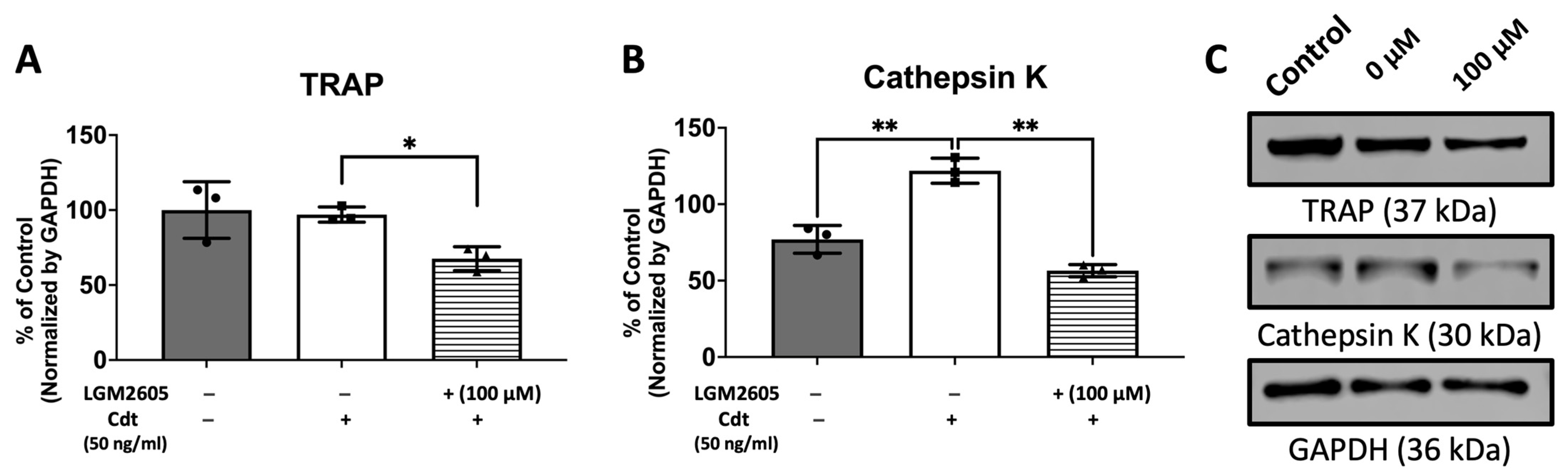 Dentistry 12 00195 g008