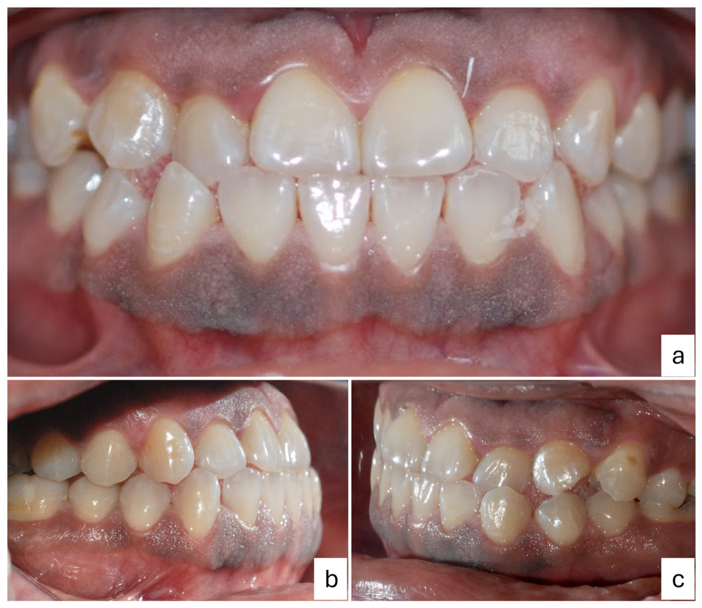 Dentistry 12 00203 g001