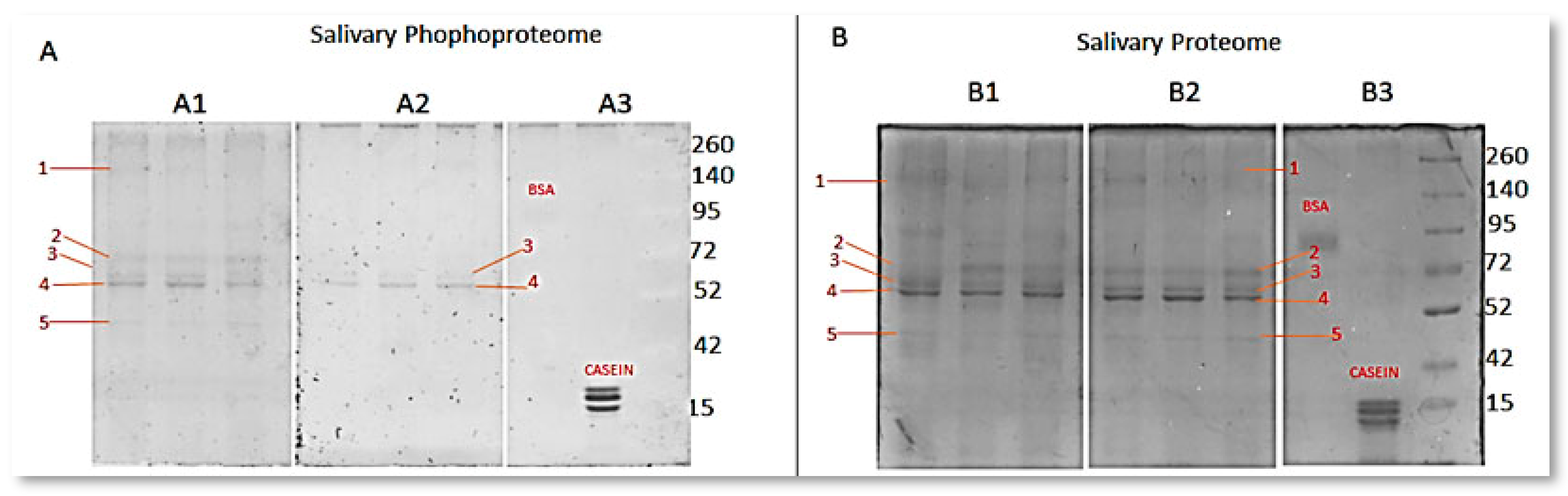 Dentistry 12 00208 g002