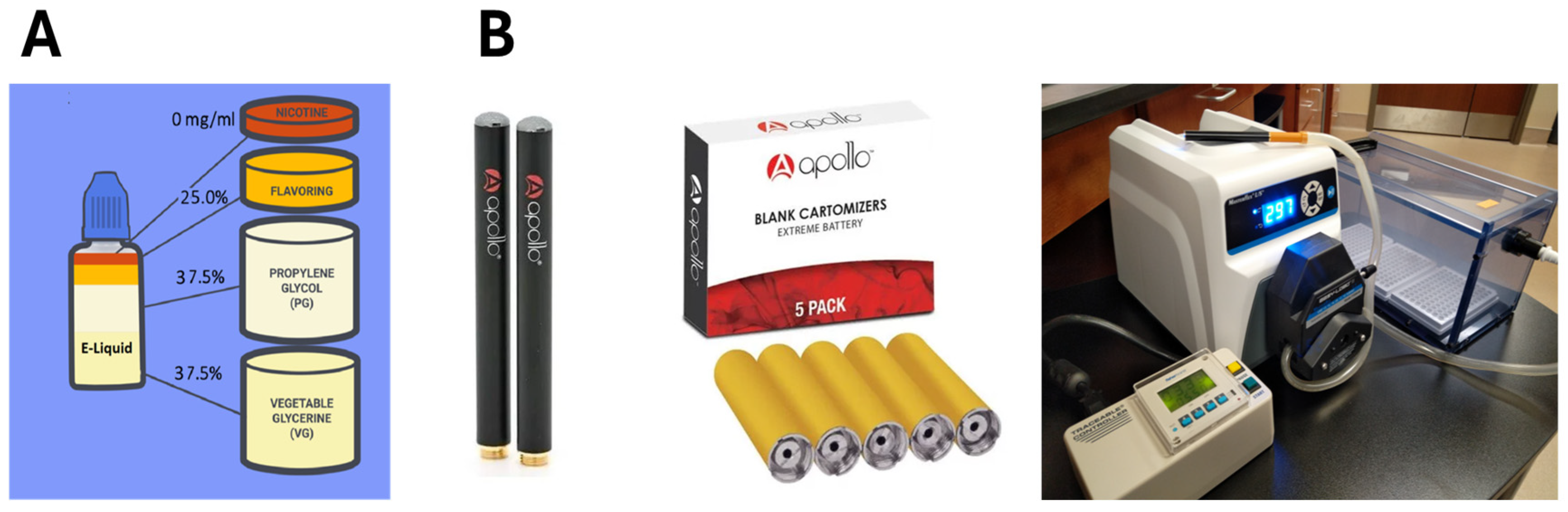 Dentistry 12 00232 g001