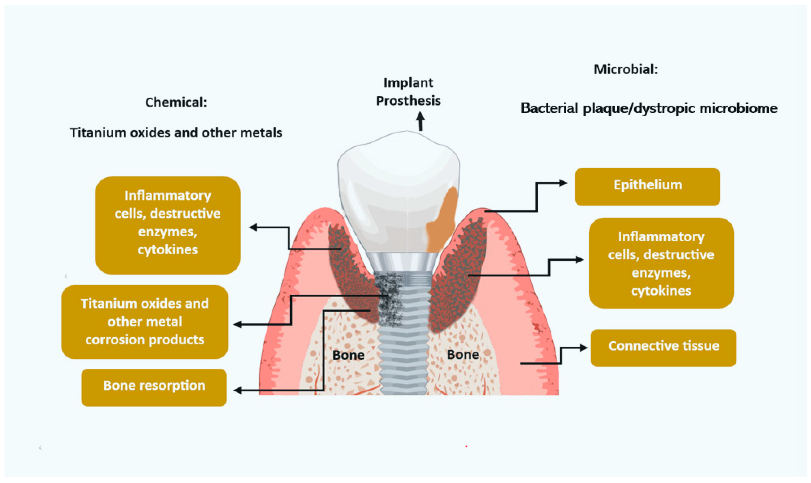 Dentistry 12 00251 g001