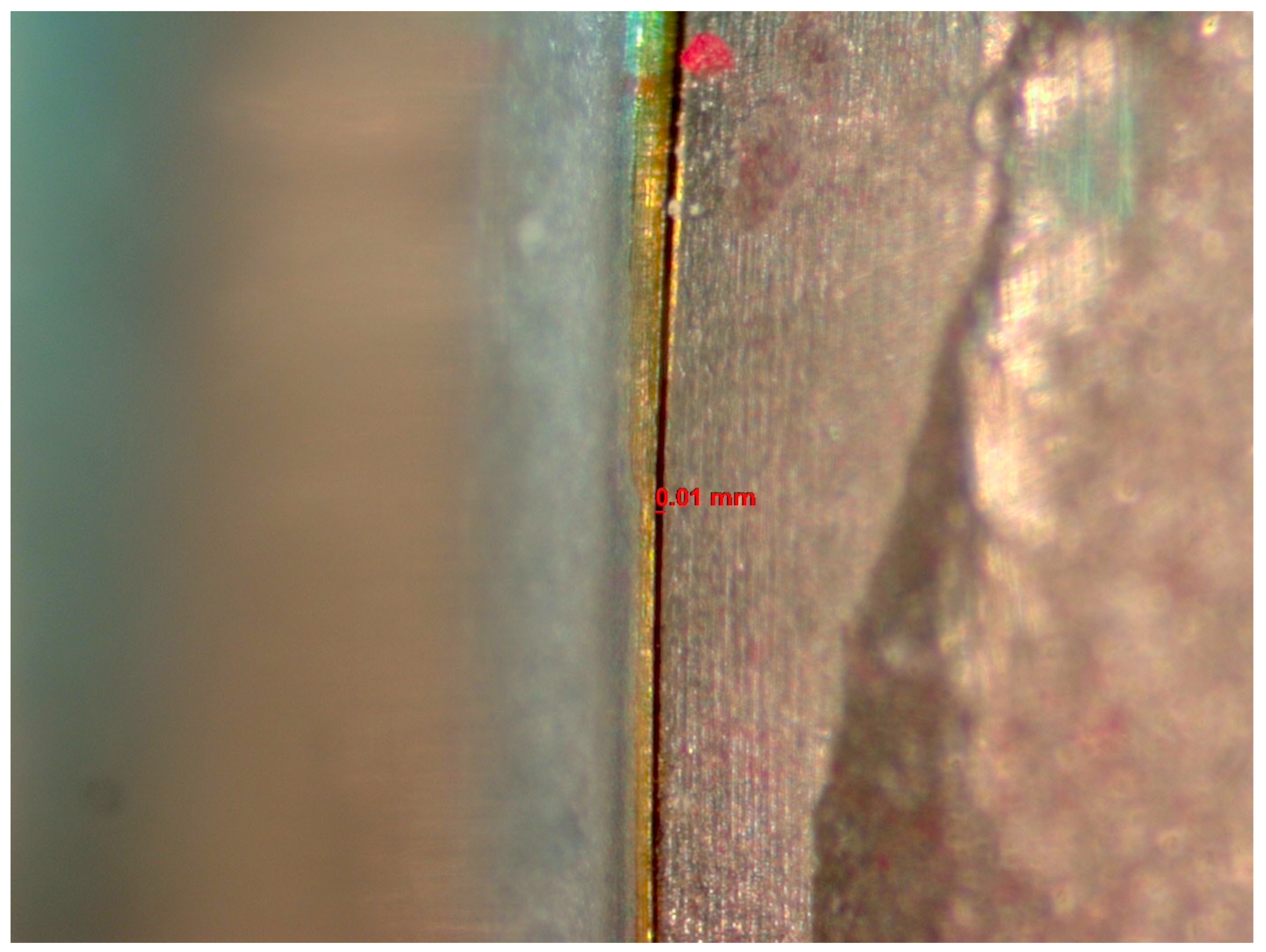 Dentistry 12 00265 g001