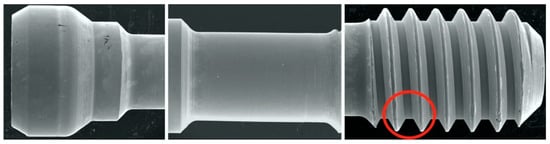 Dentistry 12 00265 g002