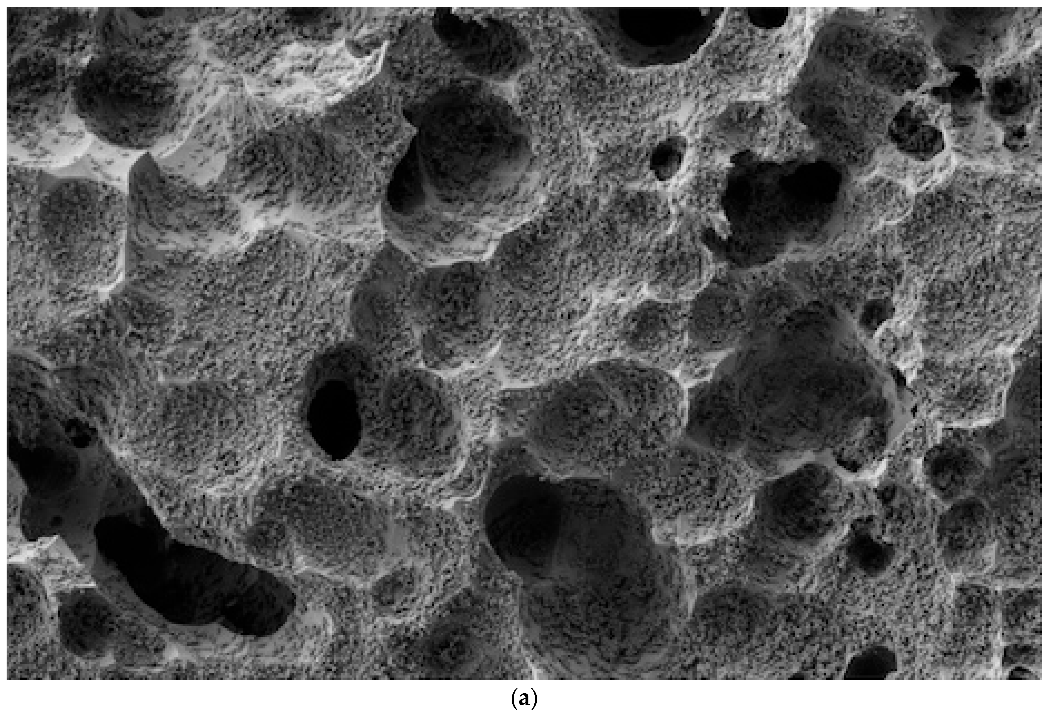 Dentistry 12 00281 g002a