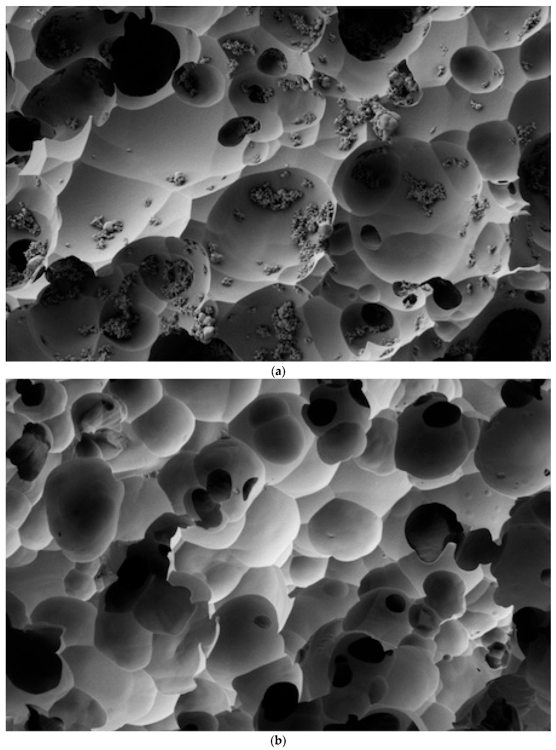 Dentistry 12 00281 g003a