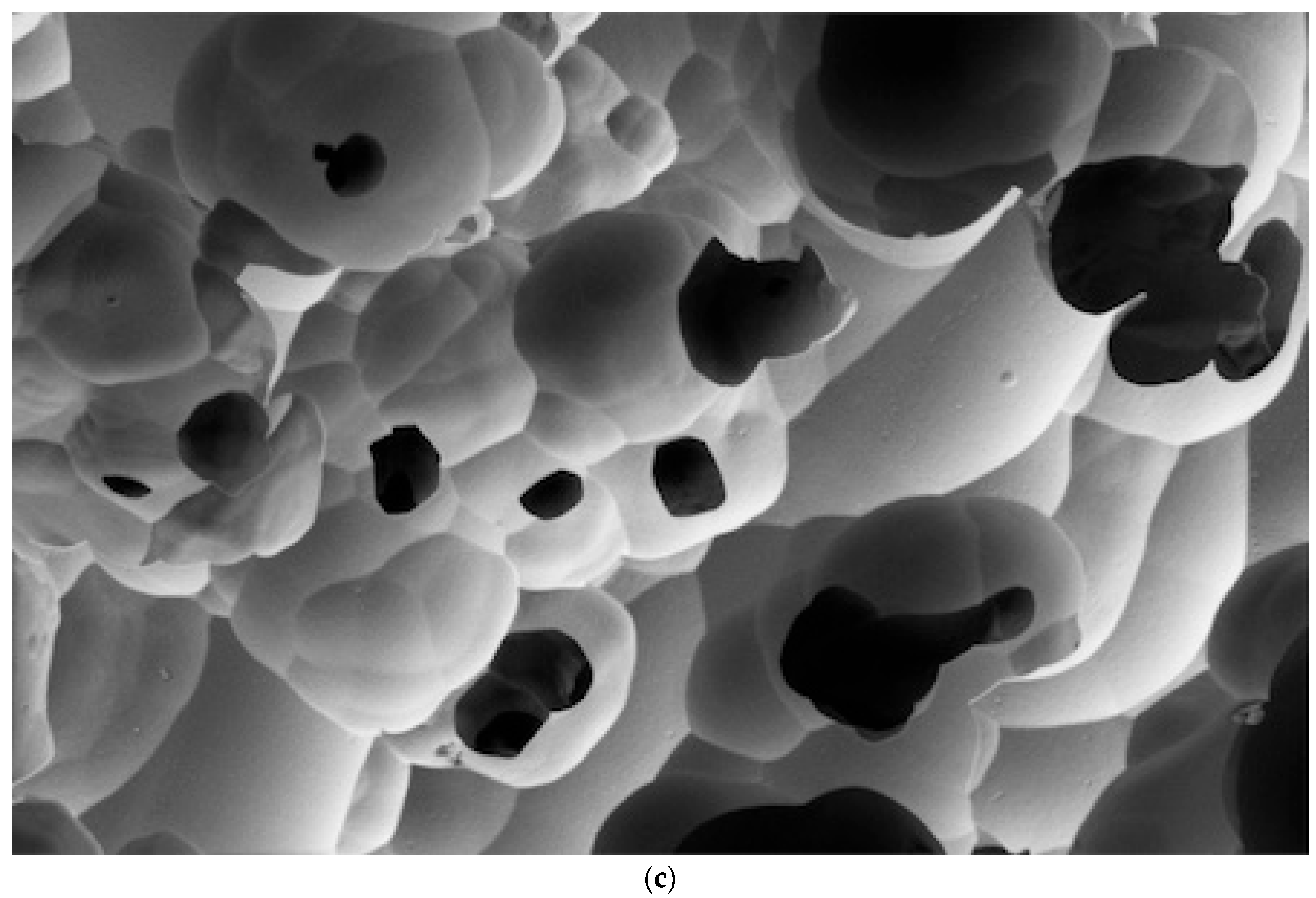 Dentistry 12 00281 g003b