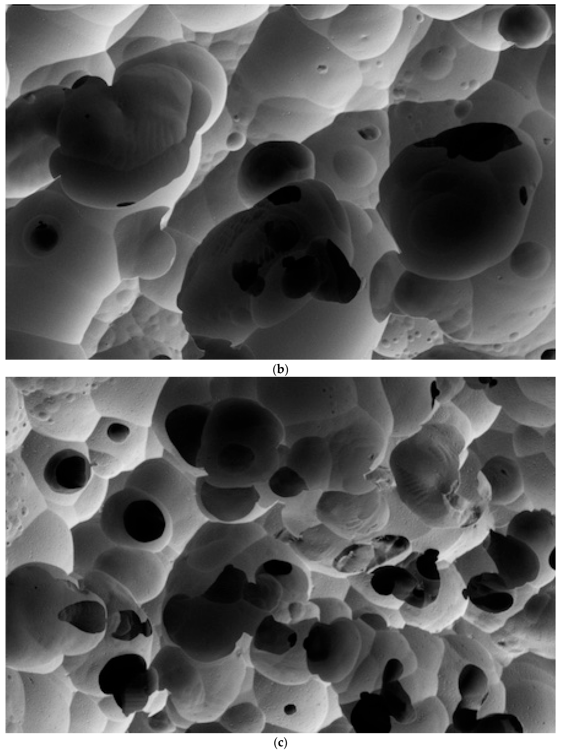 Dentistry 12 00281 g004b