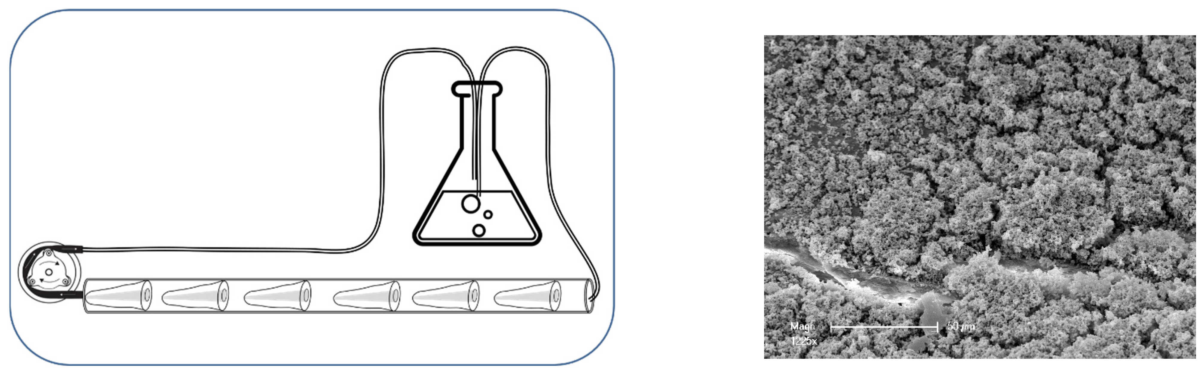 Dentistry 12 00308 g001