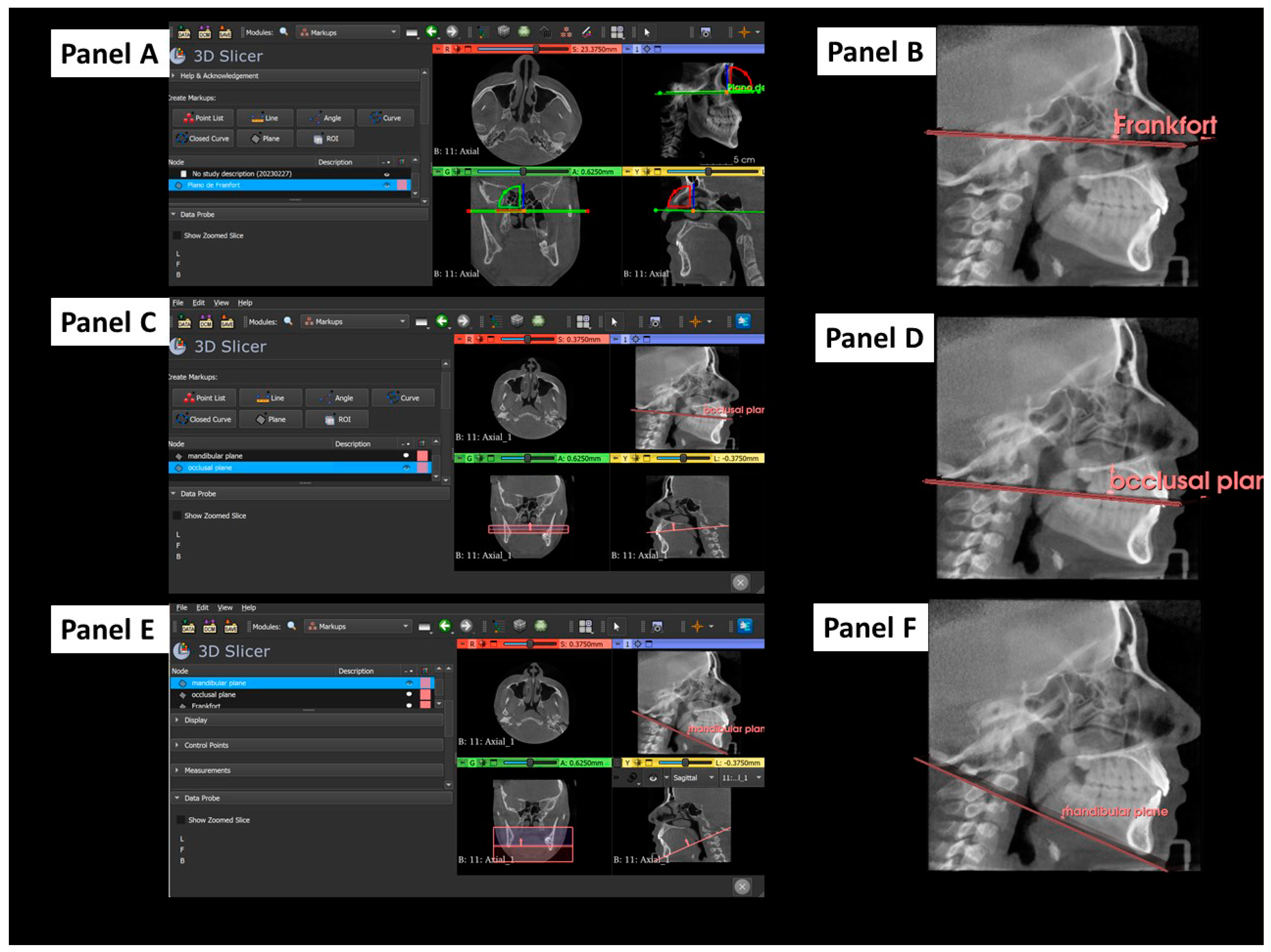 Dentistry 12 00316 g001