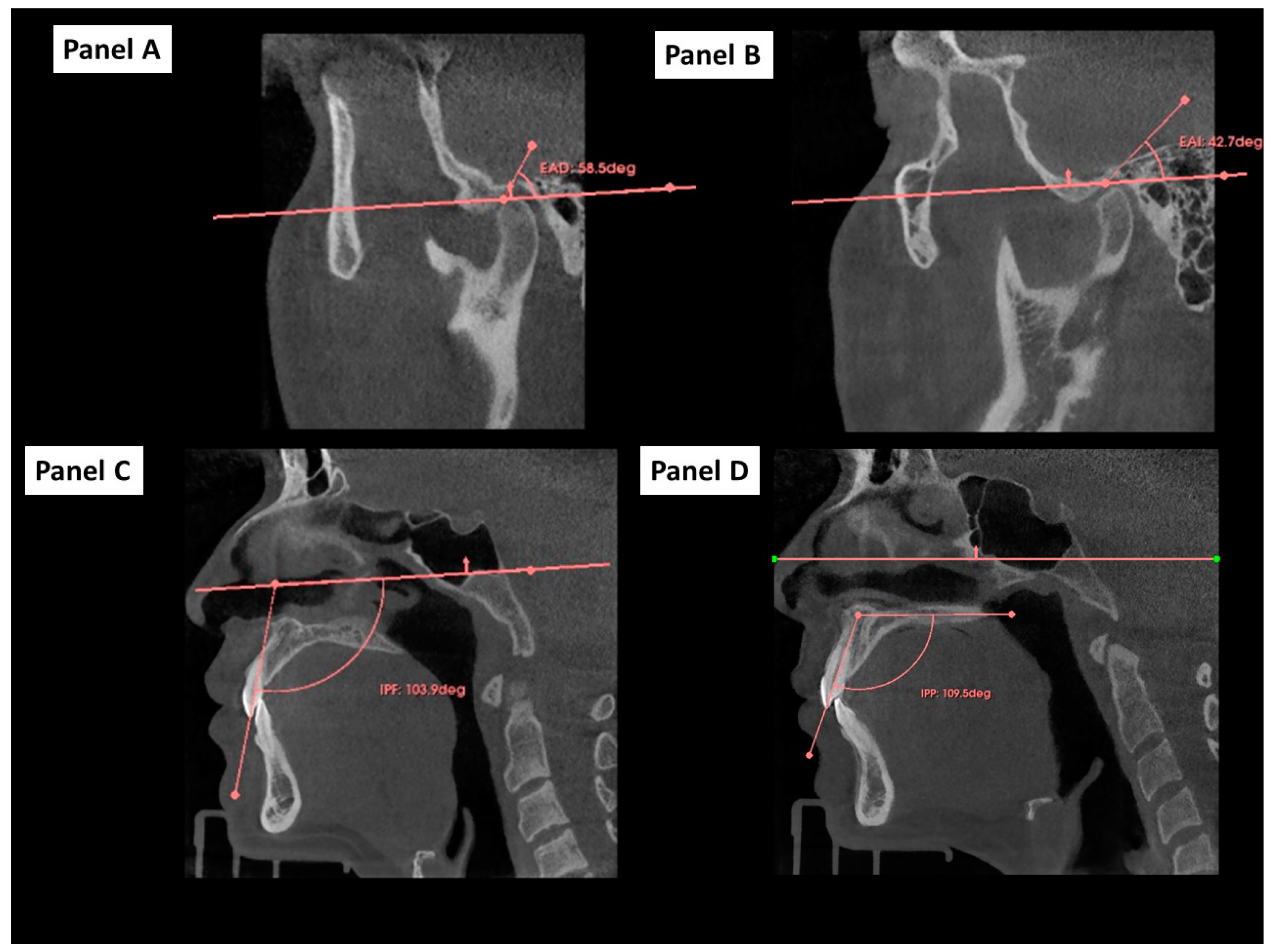 Dentistry 12 00316 g002