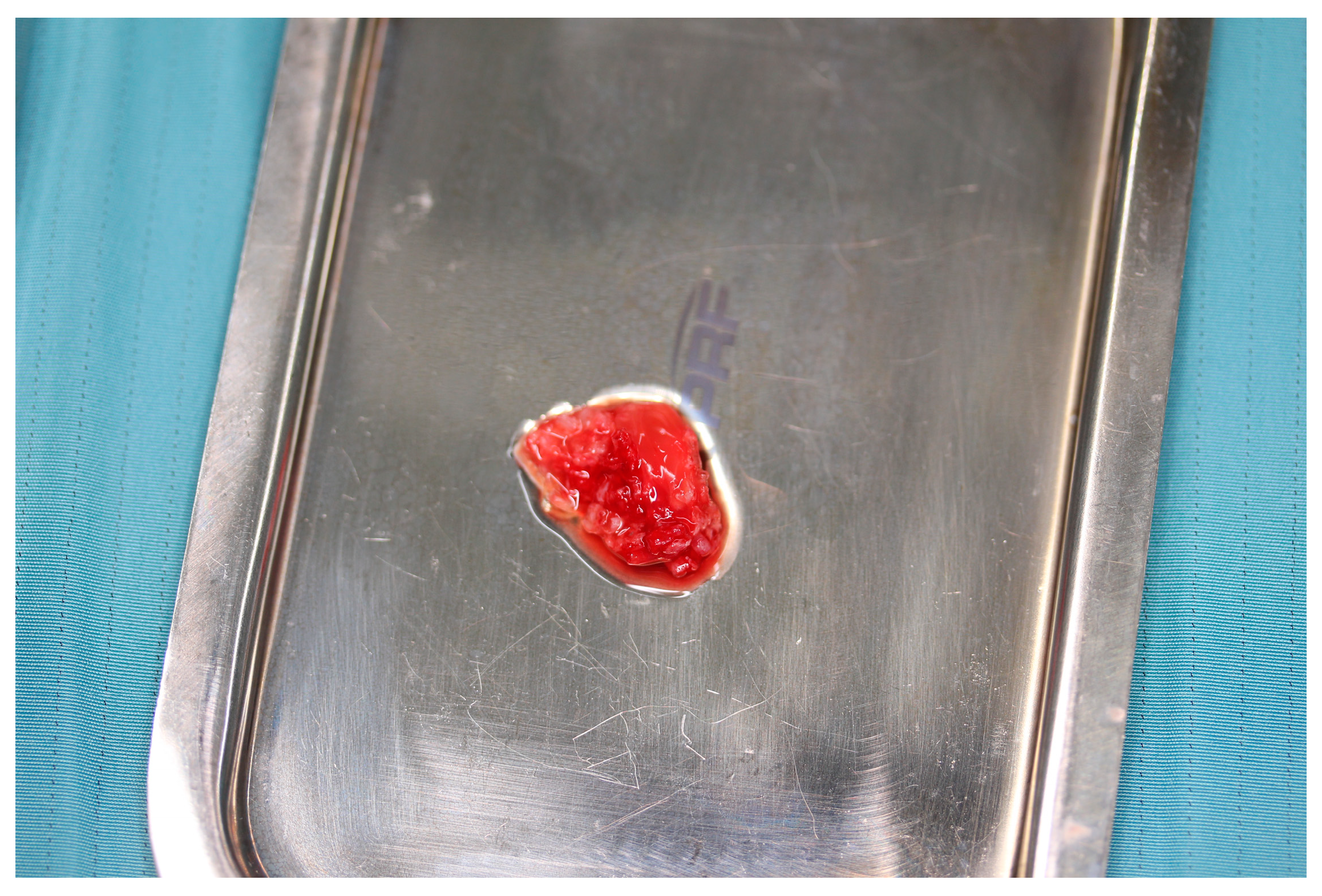 Dentistry 12 00349 g002