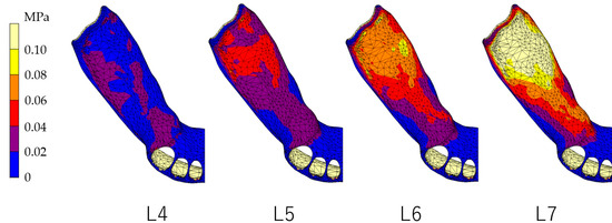 Dentistry 12 00358 g007