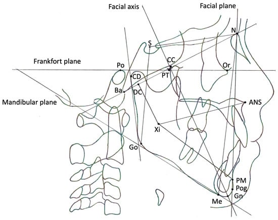 Dentistry 12 00374 g001