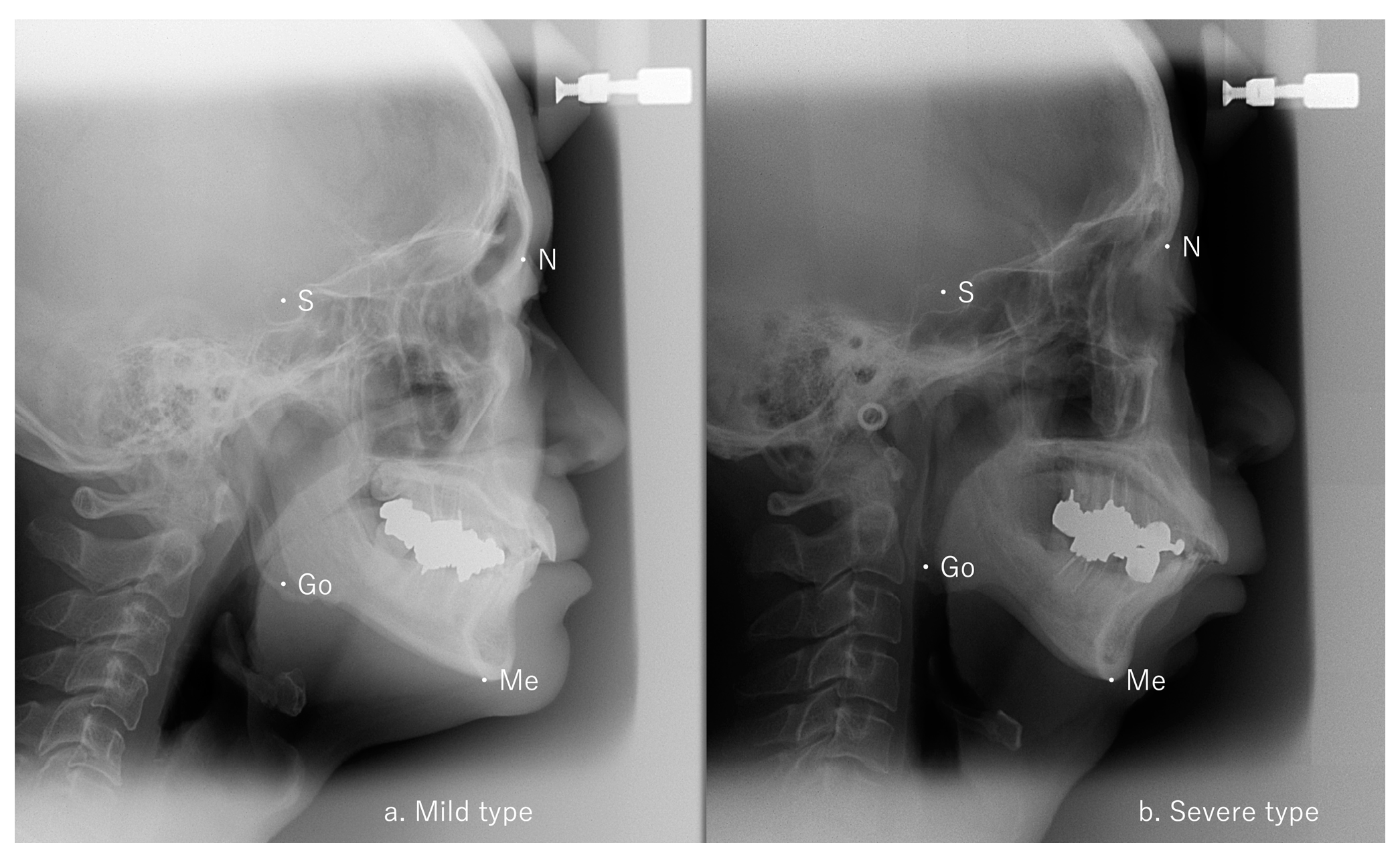 Dentistry 12 00374 g002
