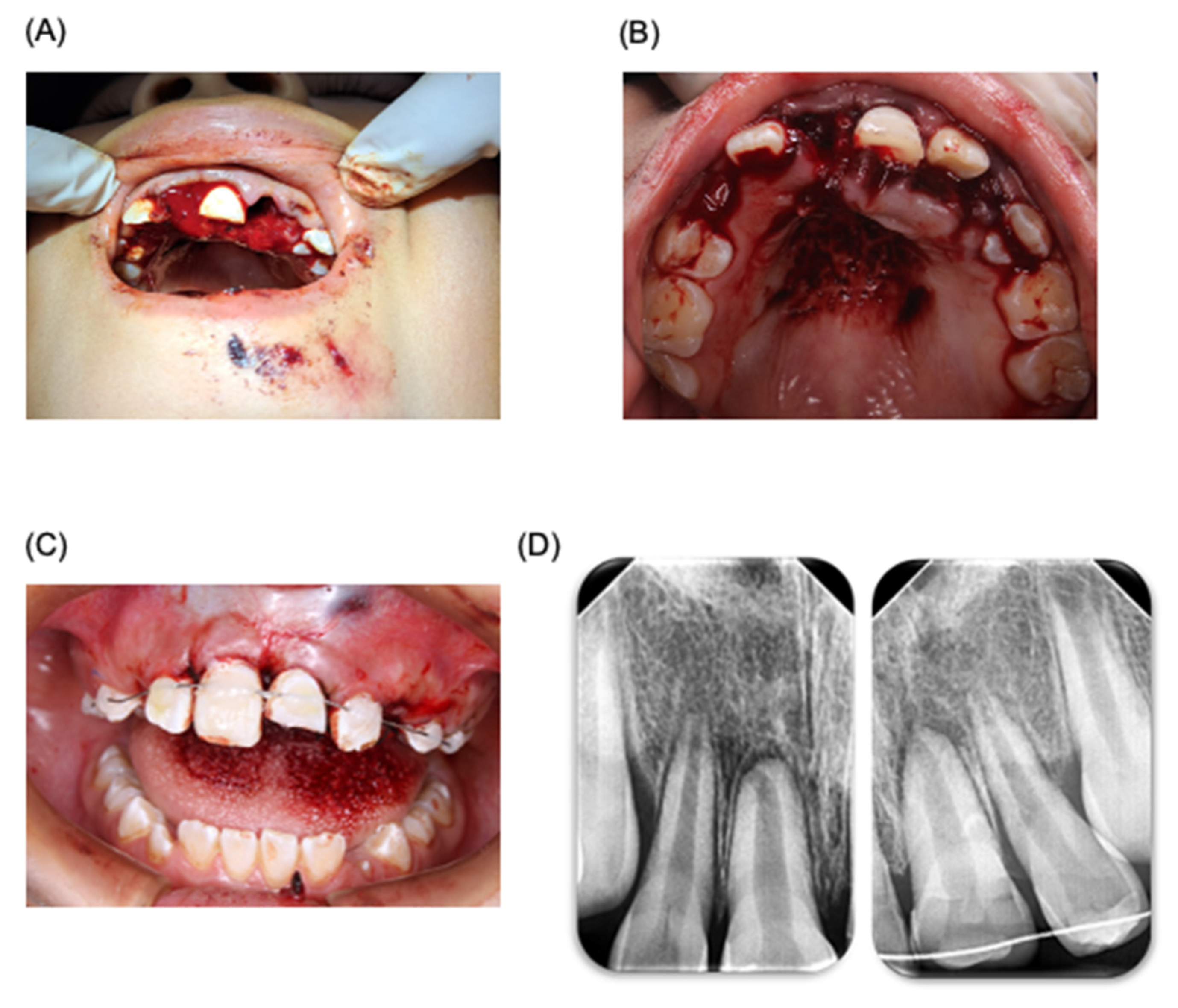 Dentistry 12 00380 g001
